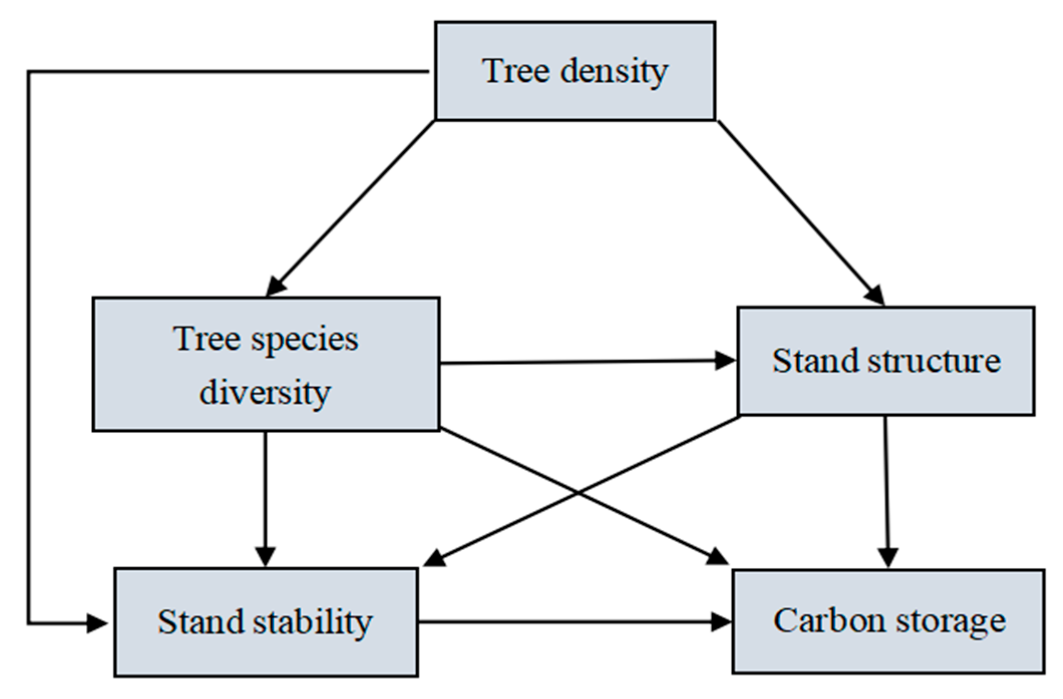 Forests 16 00071 g002