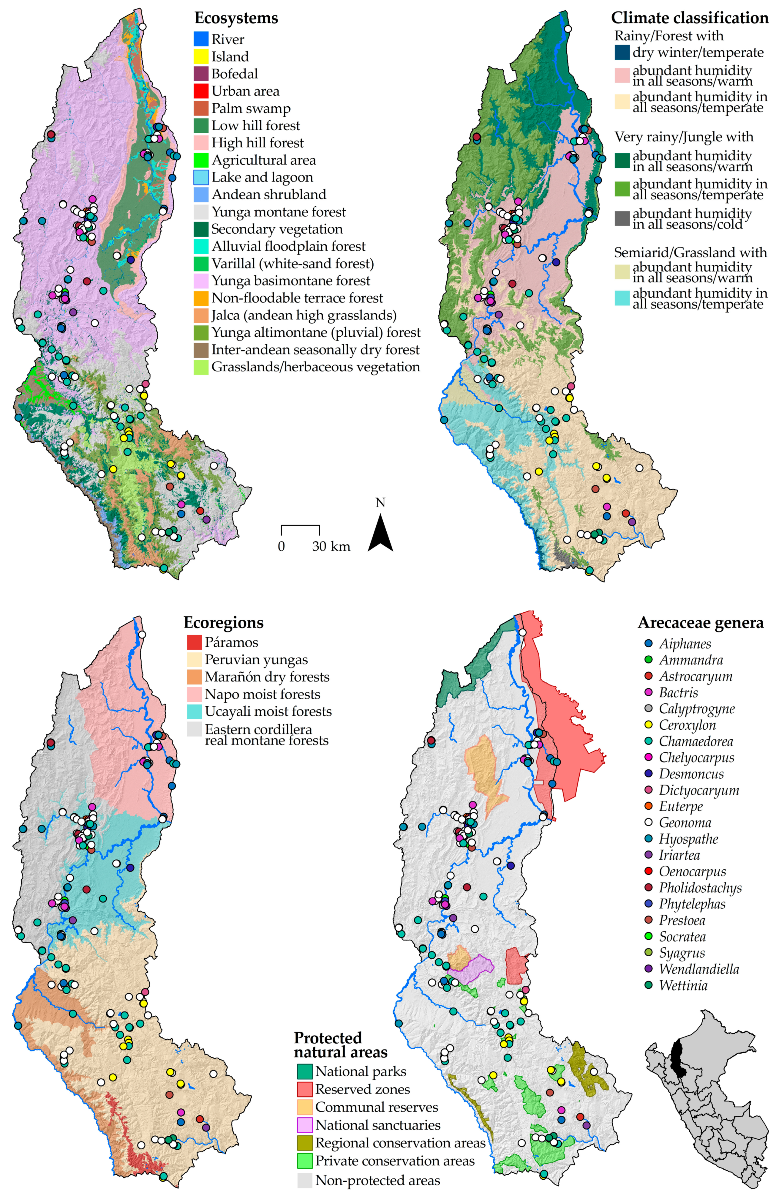 Forests 16 00076 g002 Forests 16 00076 g002