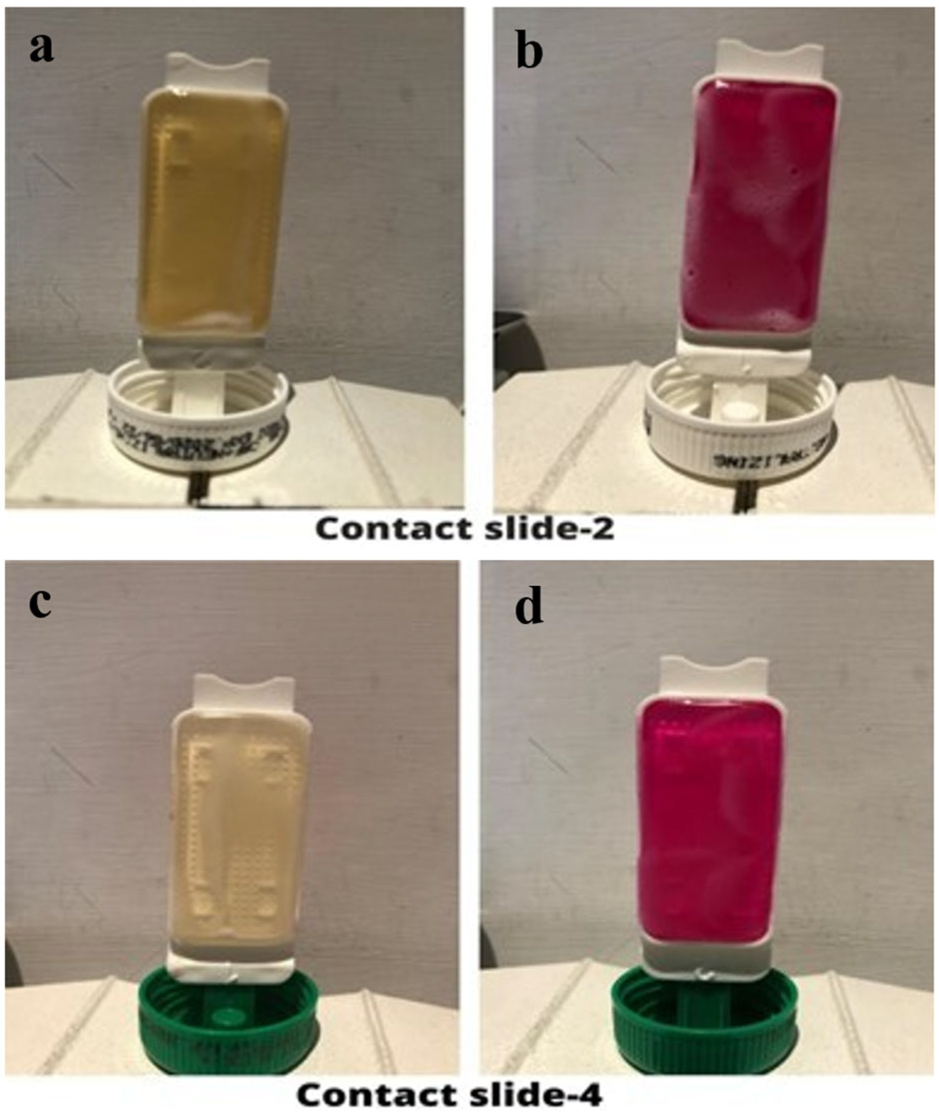 Forests 16 00079 g006