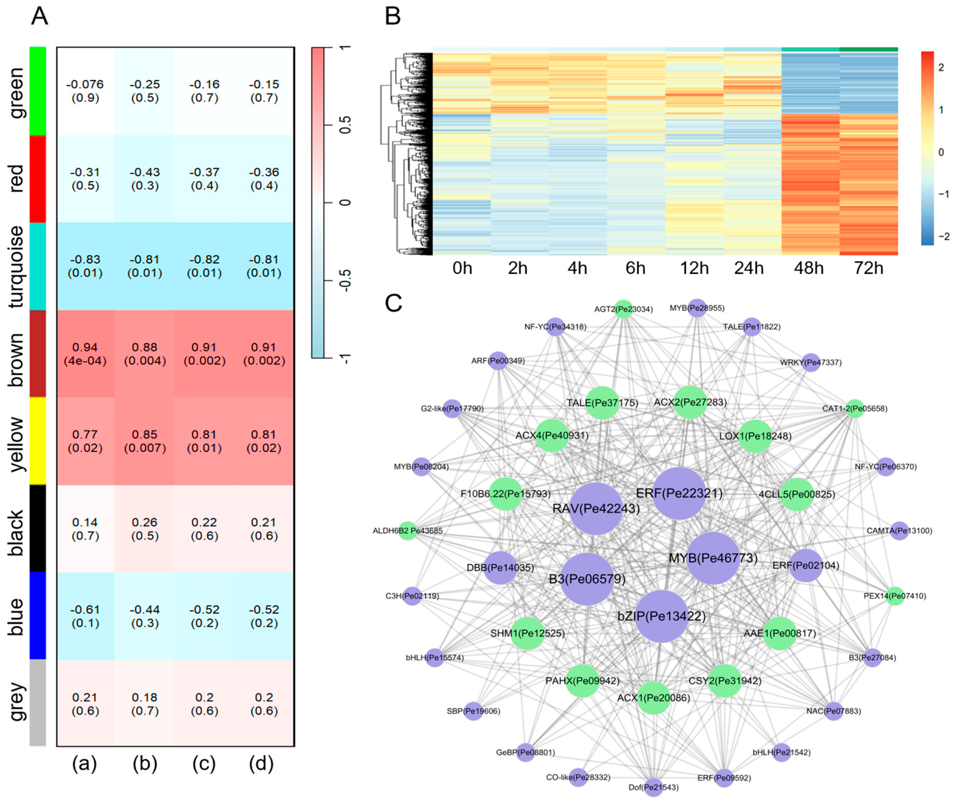 Forests 16 00081 g005