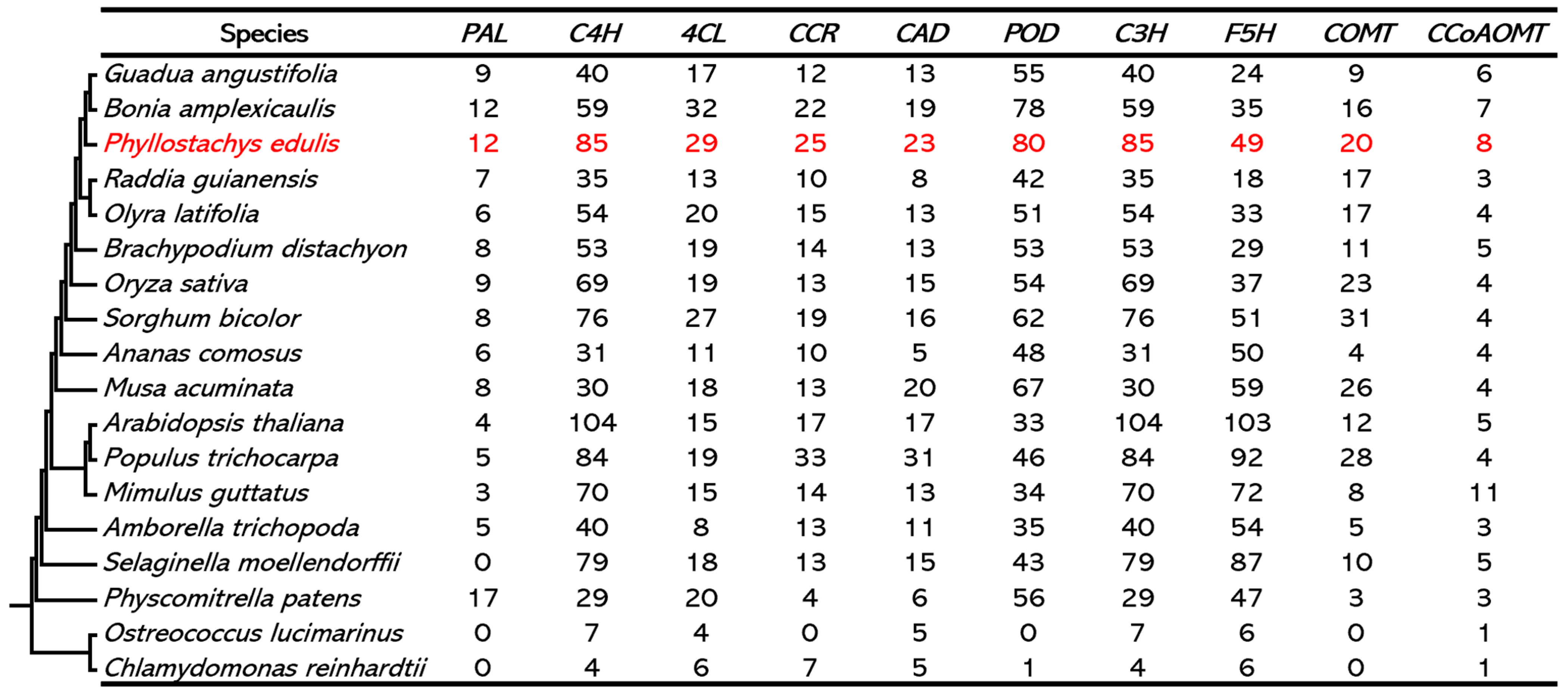 Forests 16 00081 g006