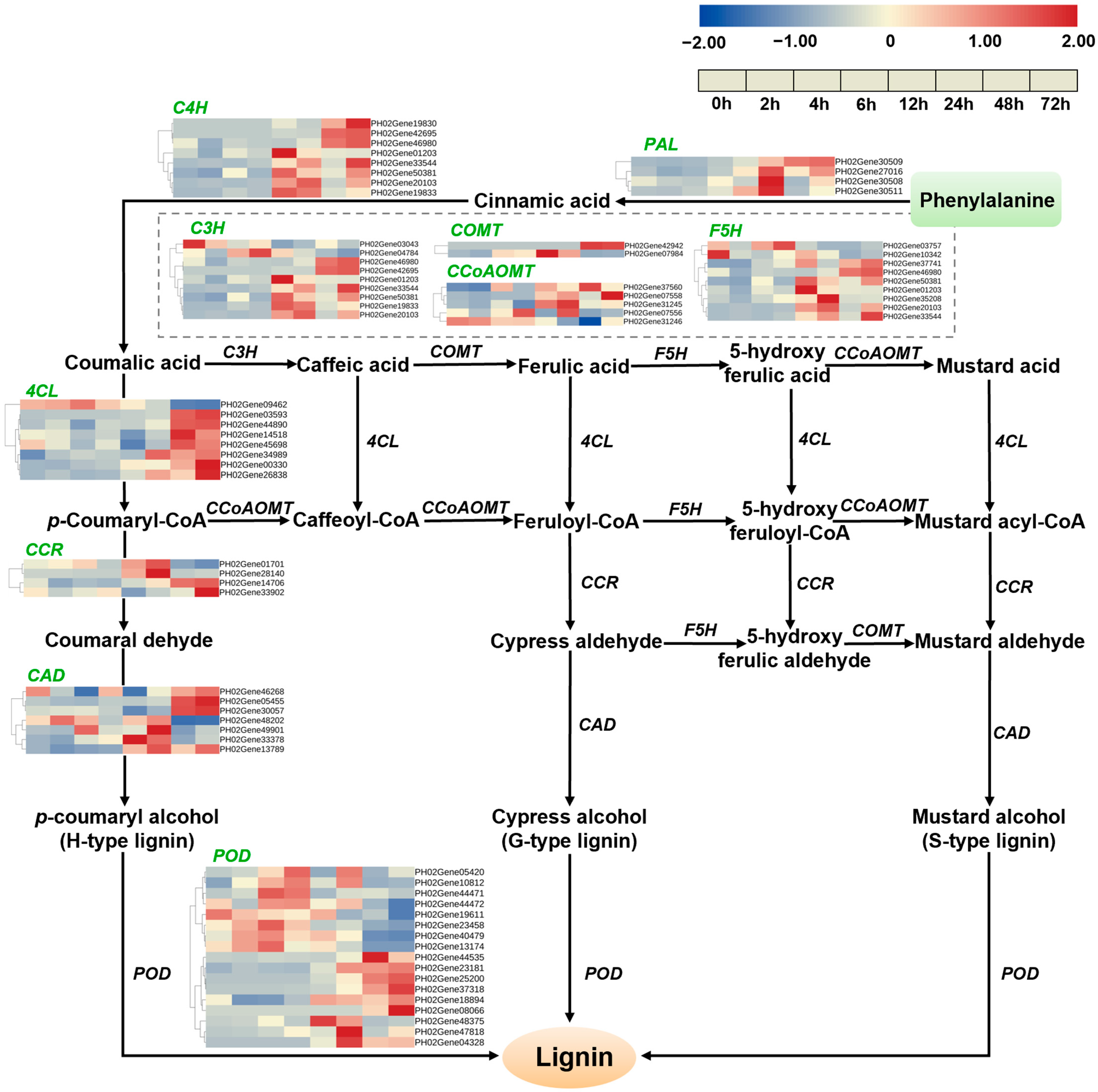 Forests 16 00081 g007