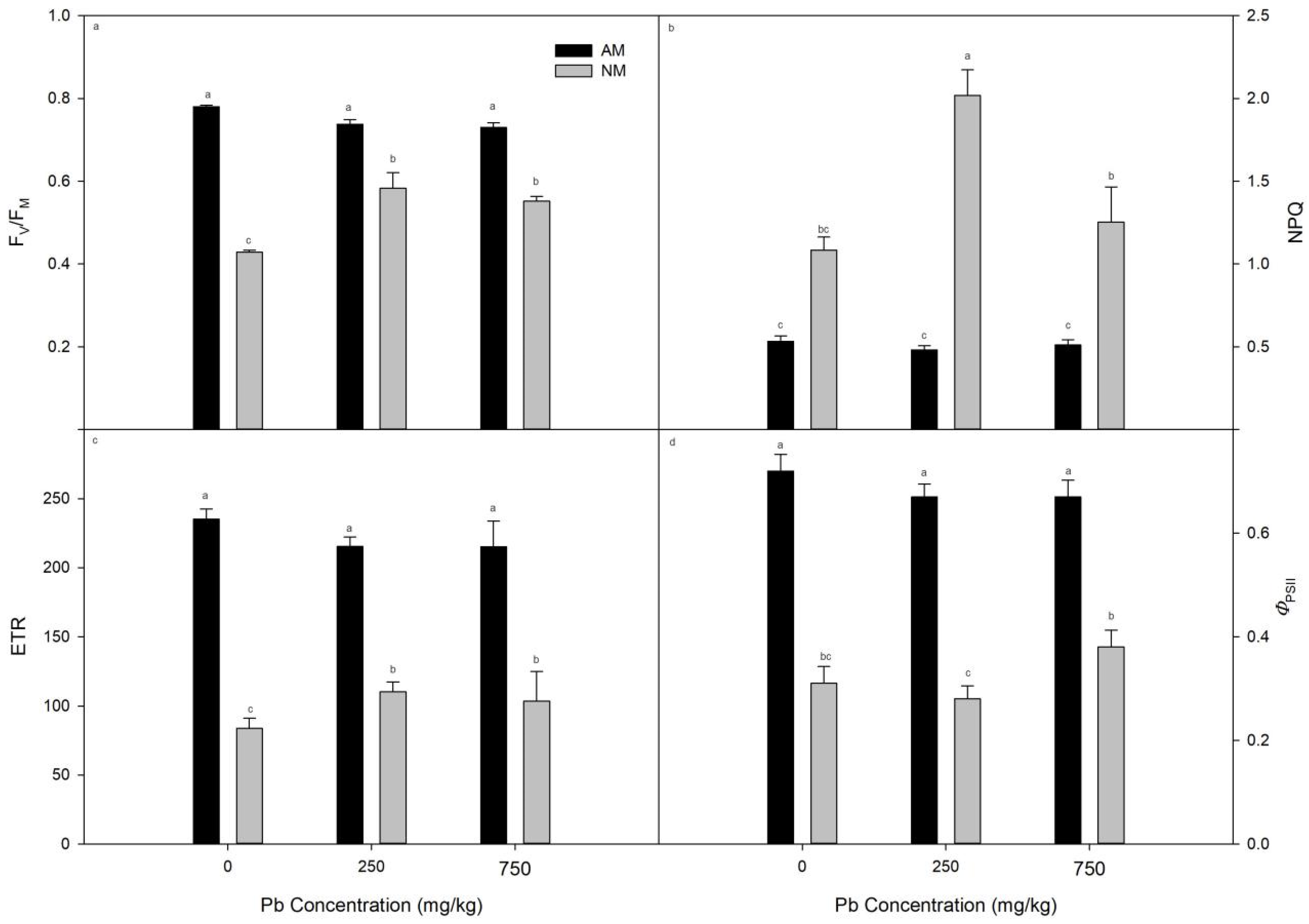 Forests 16 00082 g004