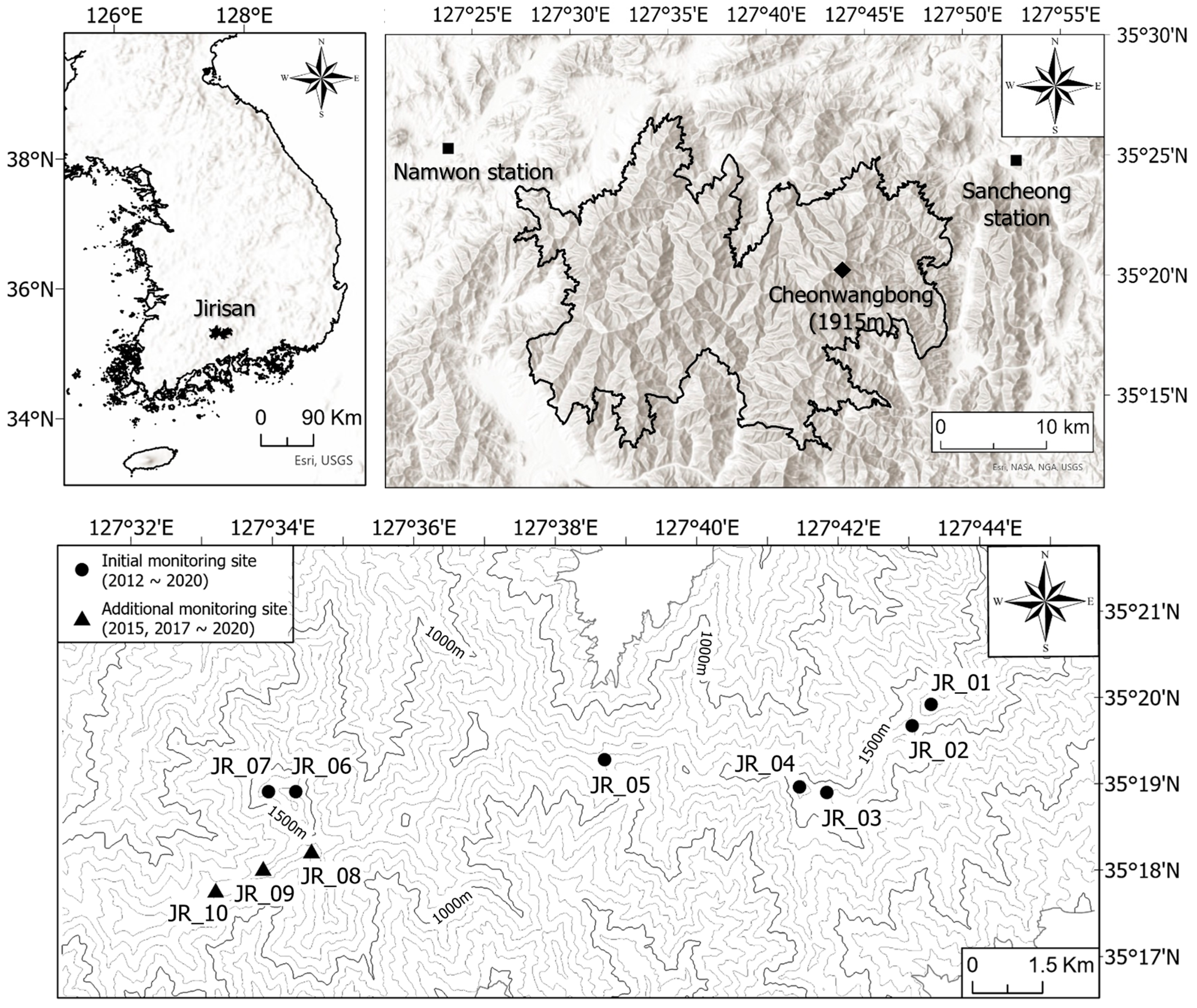 Forests 16 00084 g001 Forests 16 00084 g001