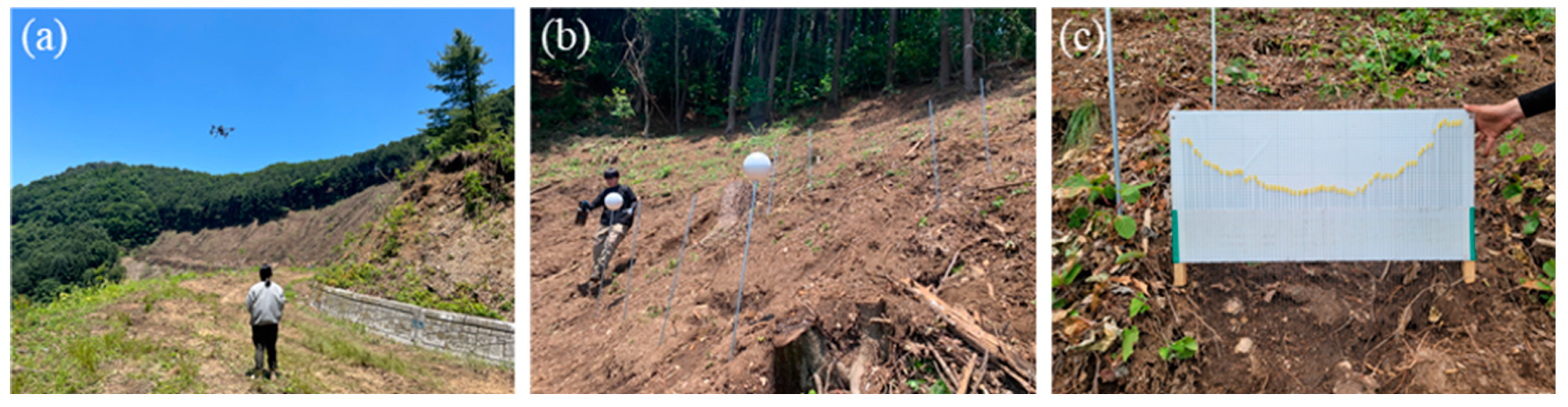 Forests 16 00086 g003