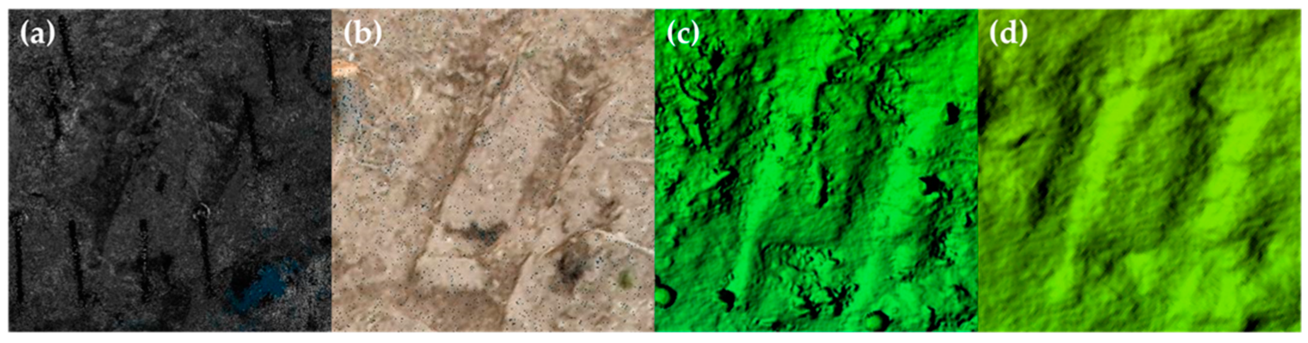 Forests 16 00086 g004