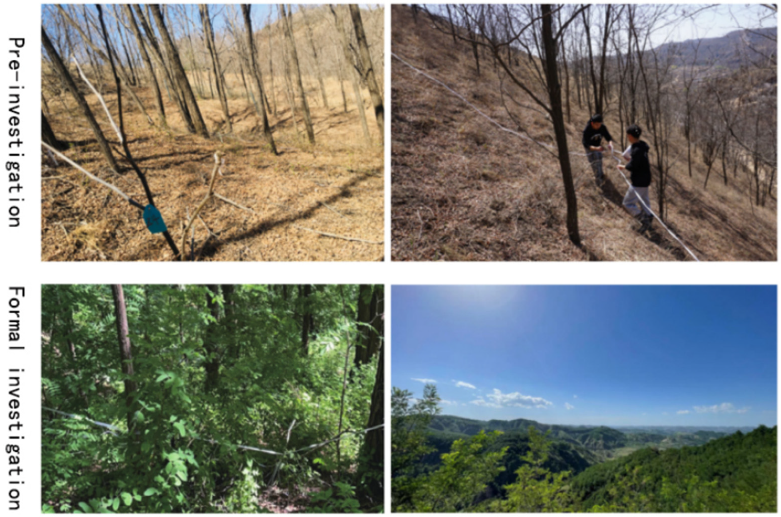 Forests 16 00087 g001