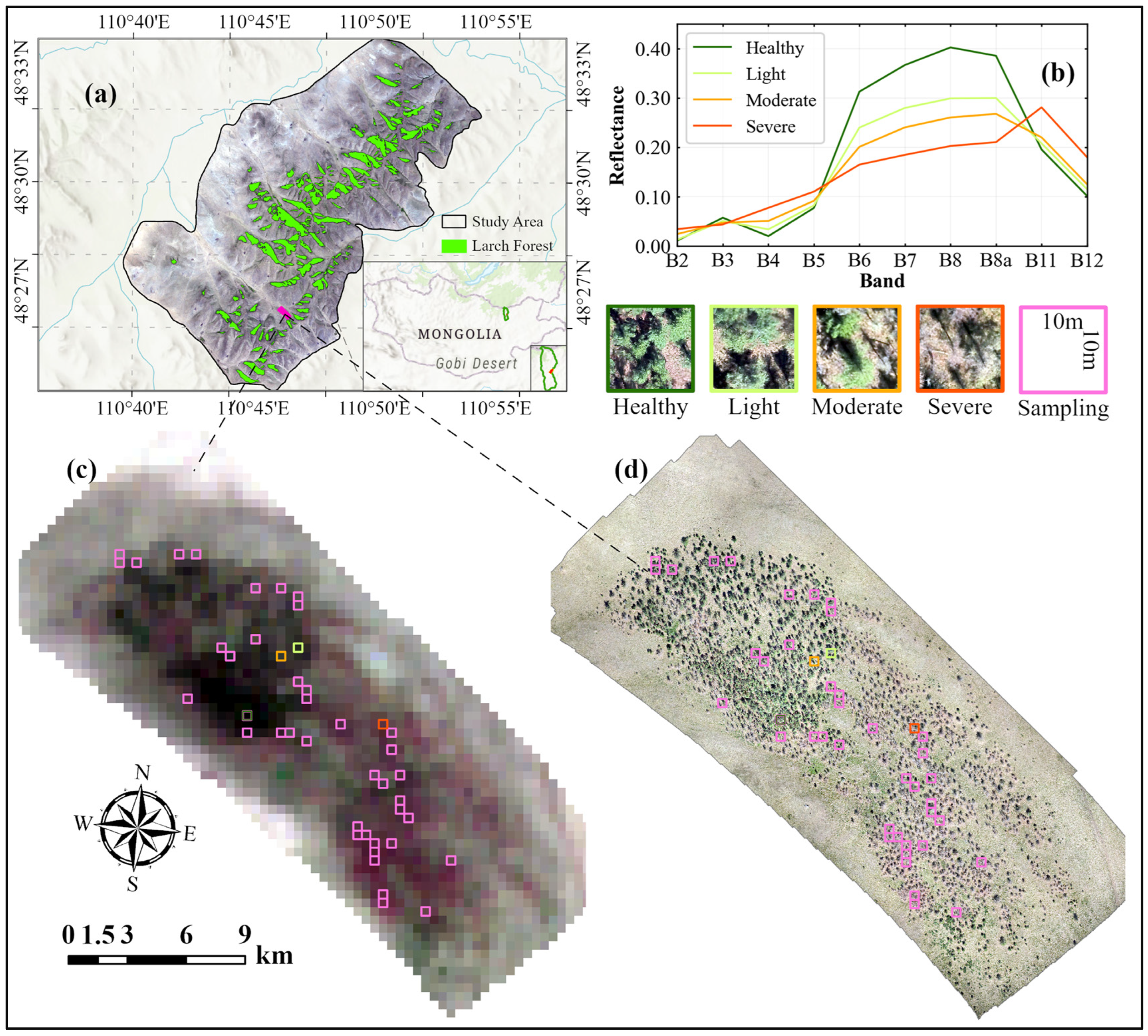 Forests 16 00088 g001