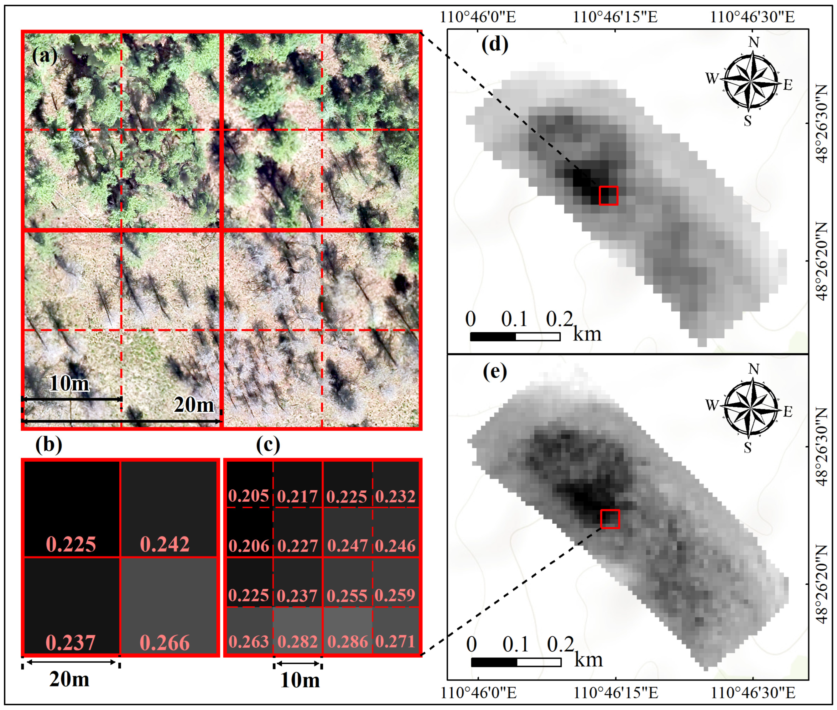 Forests 16 00088 g004