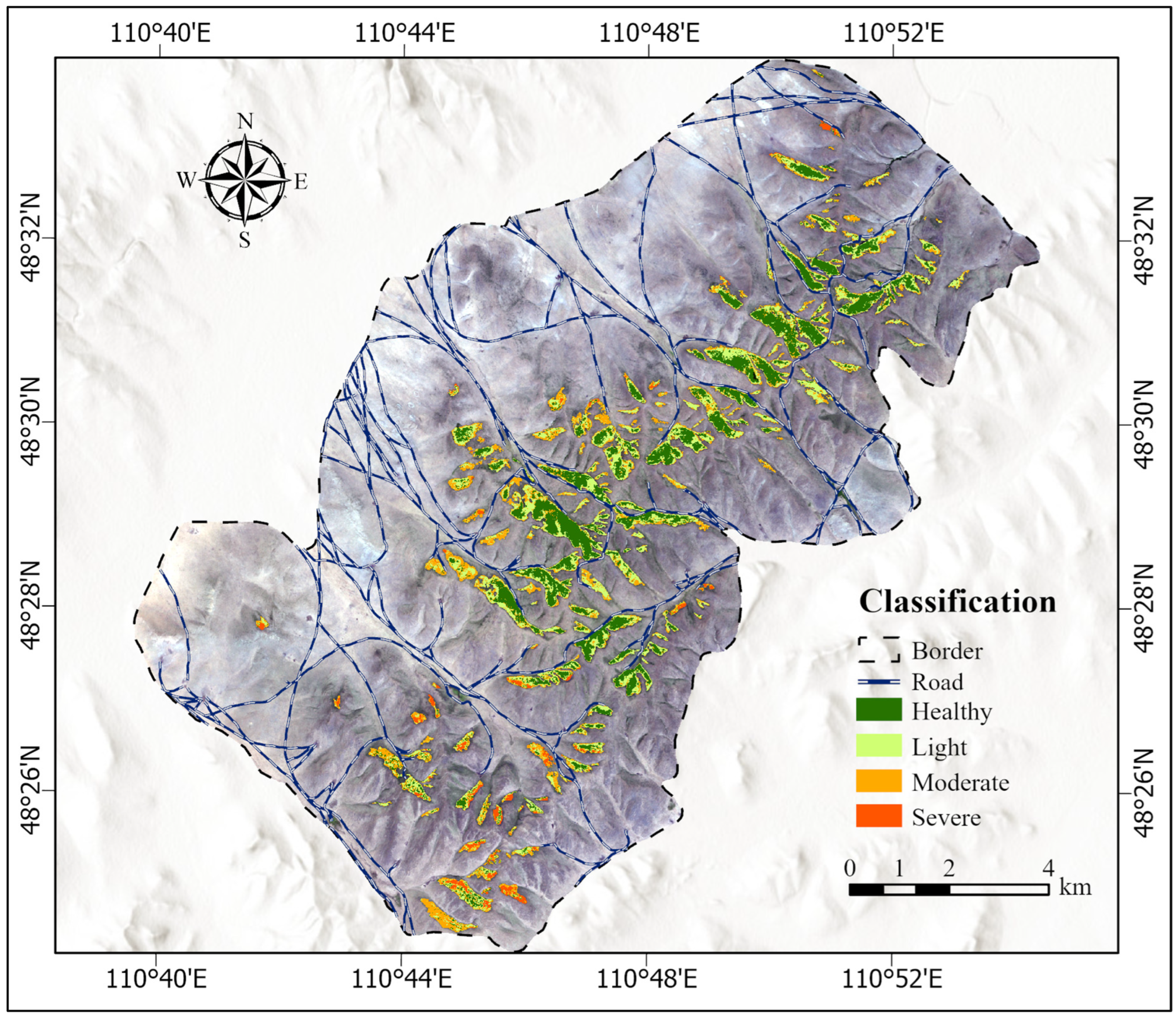 Forests 16 00088 g010
