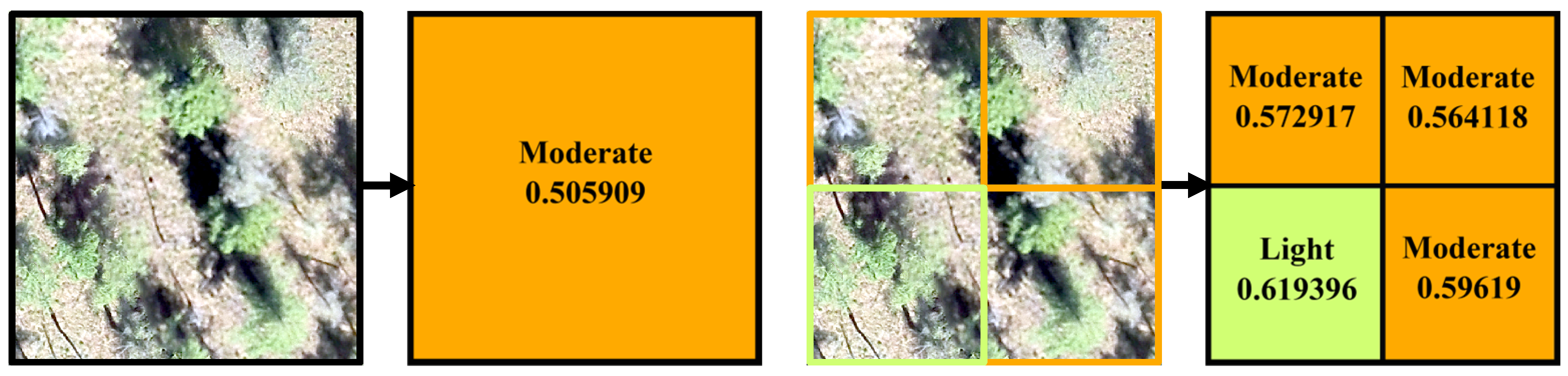 Forests 16 00088 g013