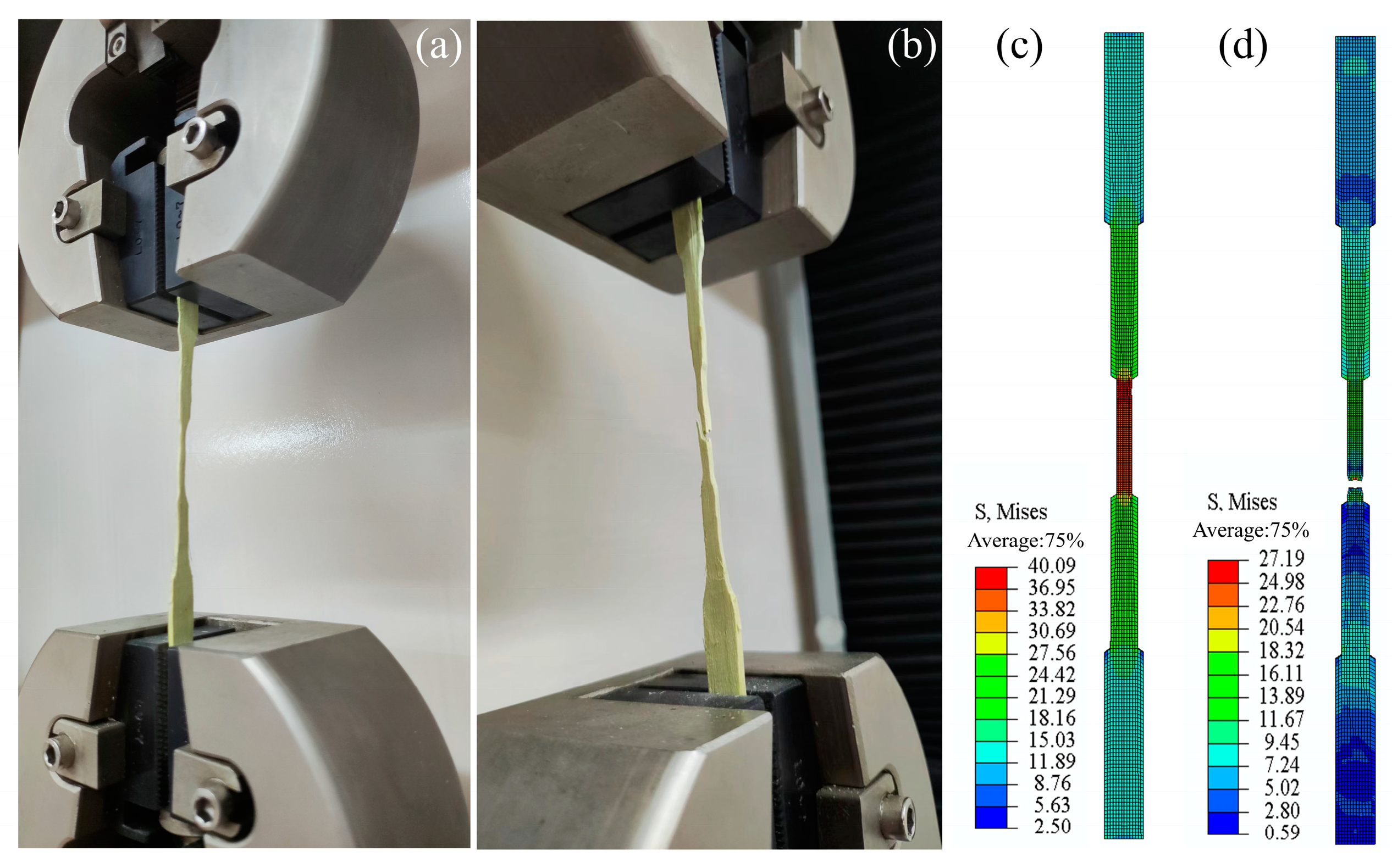 Forests 16 00090 g011