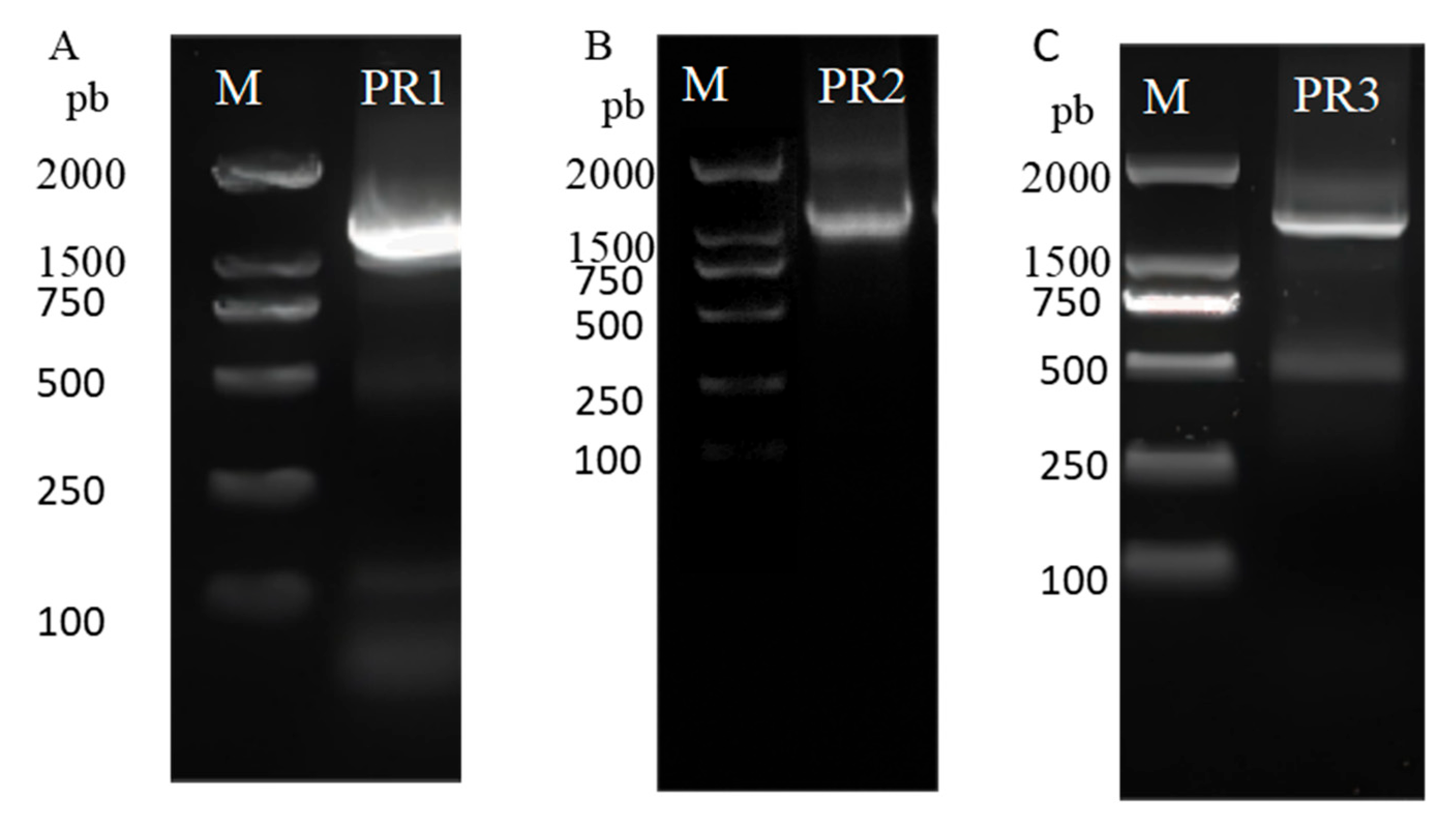 Forests 16 00098 g003 Forests 16 00098 g003