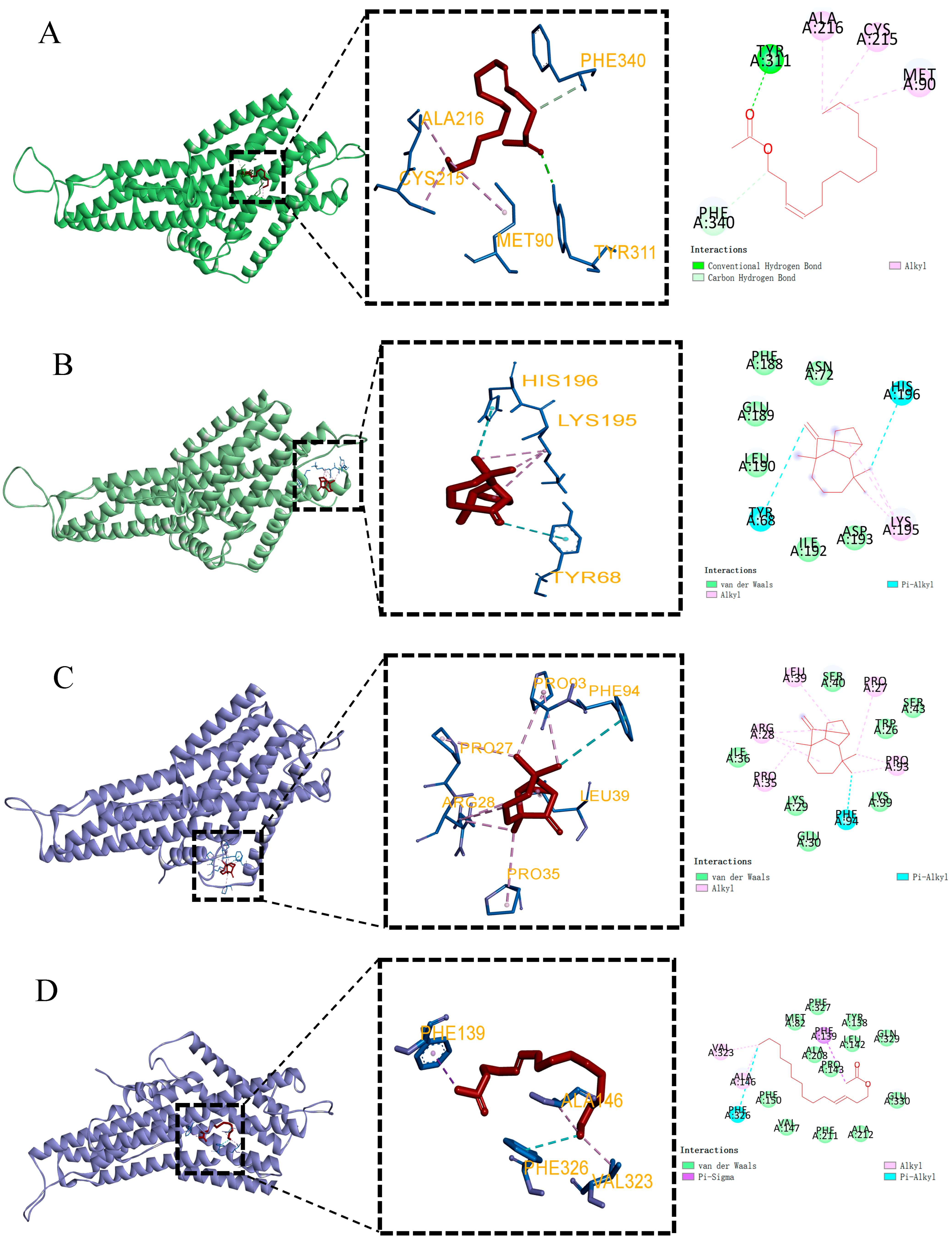 Forests 16 00098 g006a Forests 16 00098 g006a