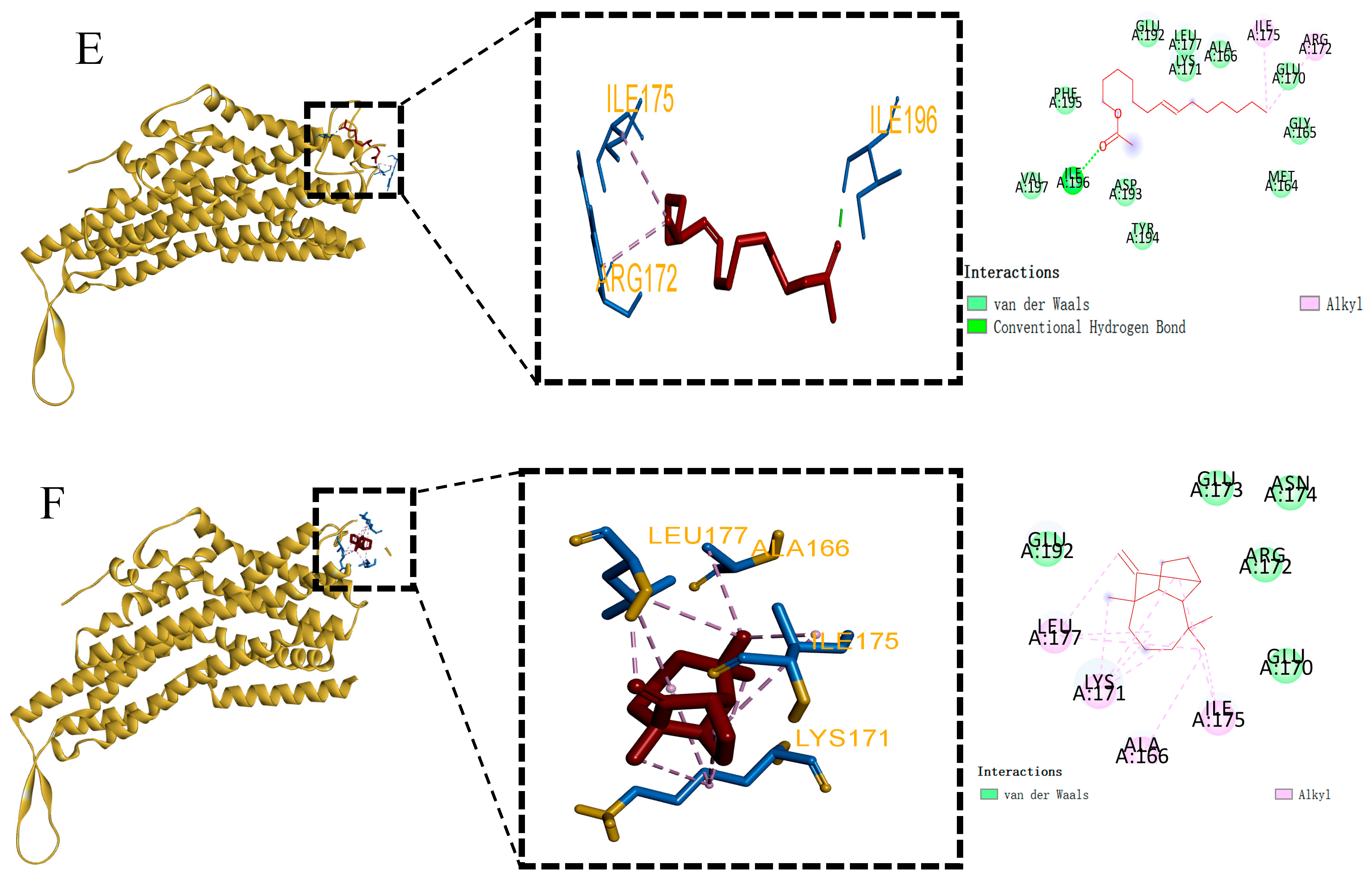 Forests 16 00098 g006b Forests 16 00098 g006b