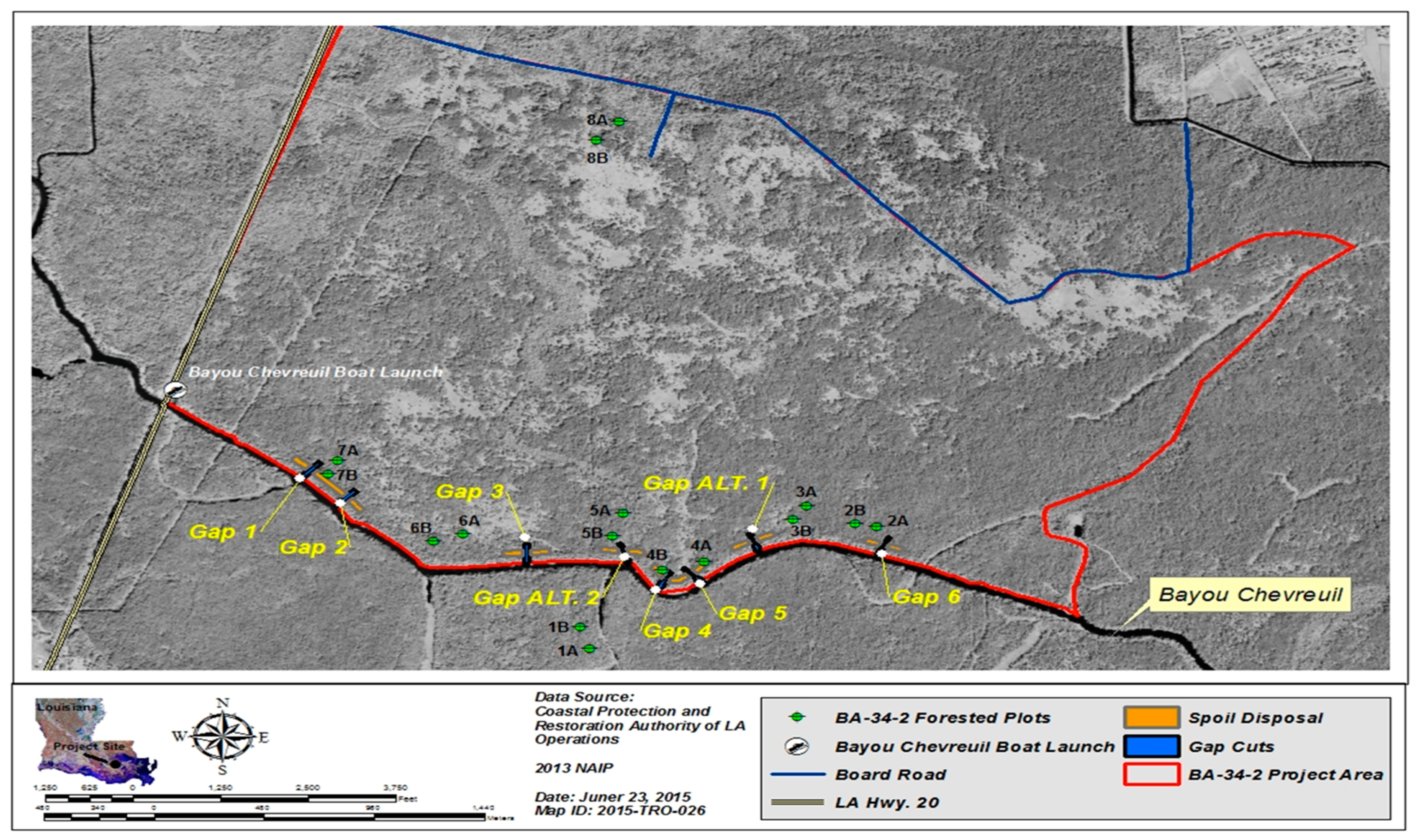 Forests 16 00099 g001