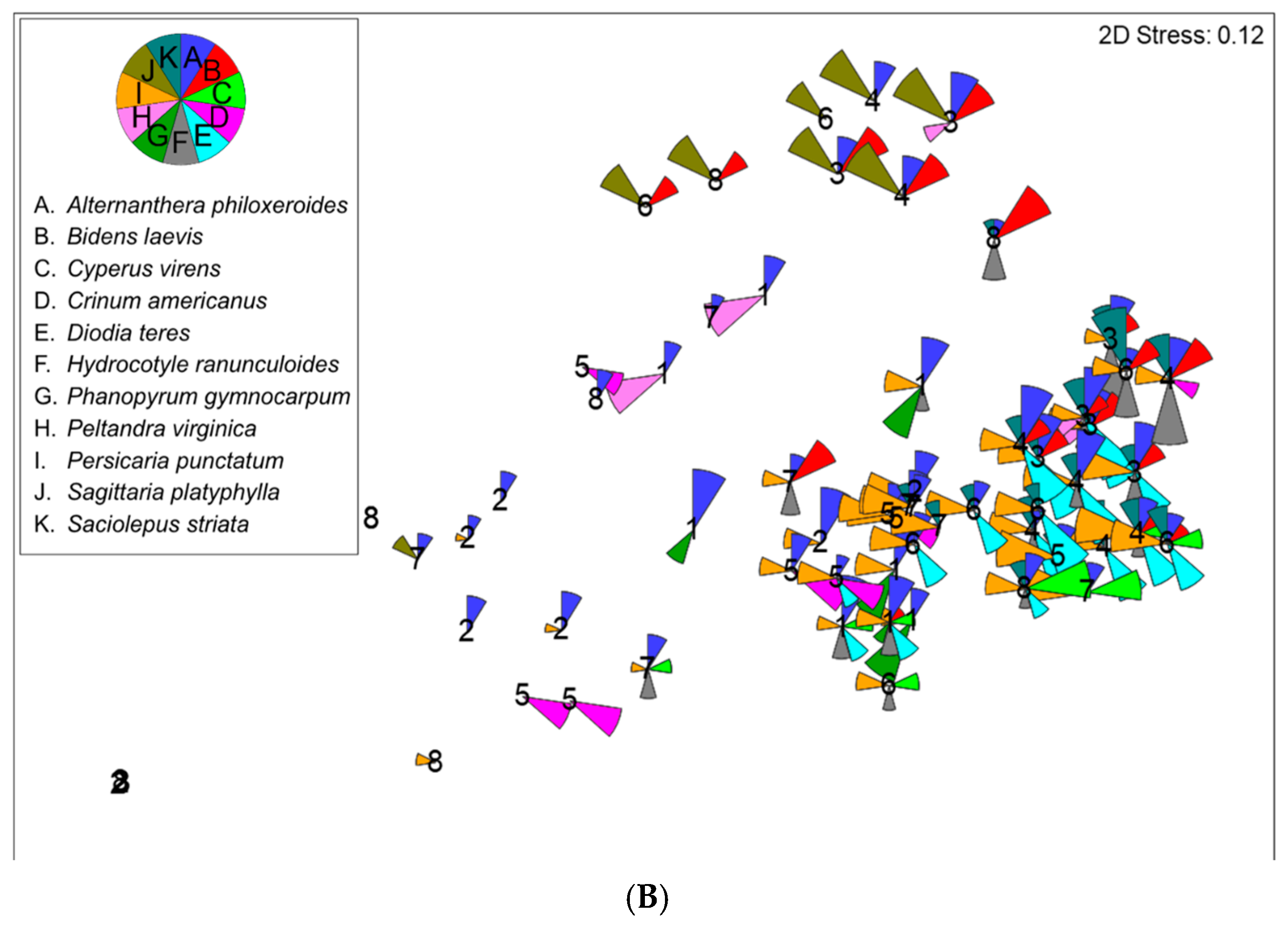 Forests 16 00099 g013b