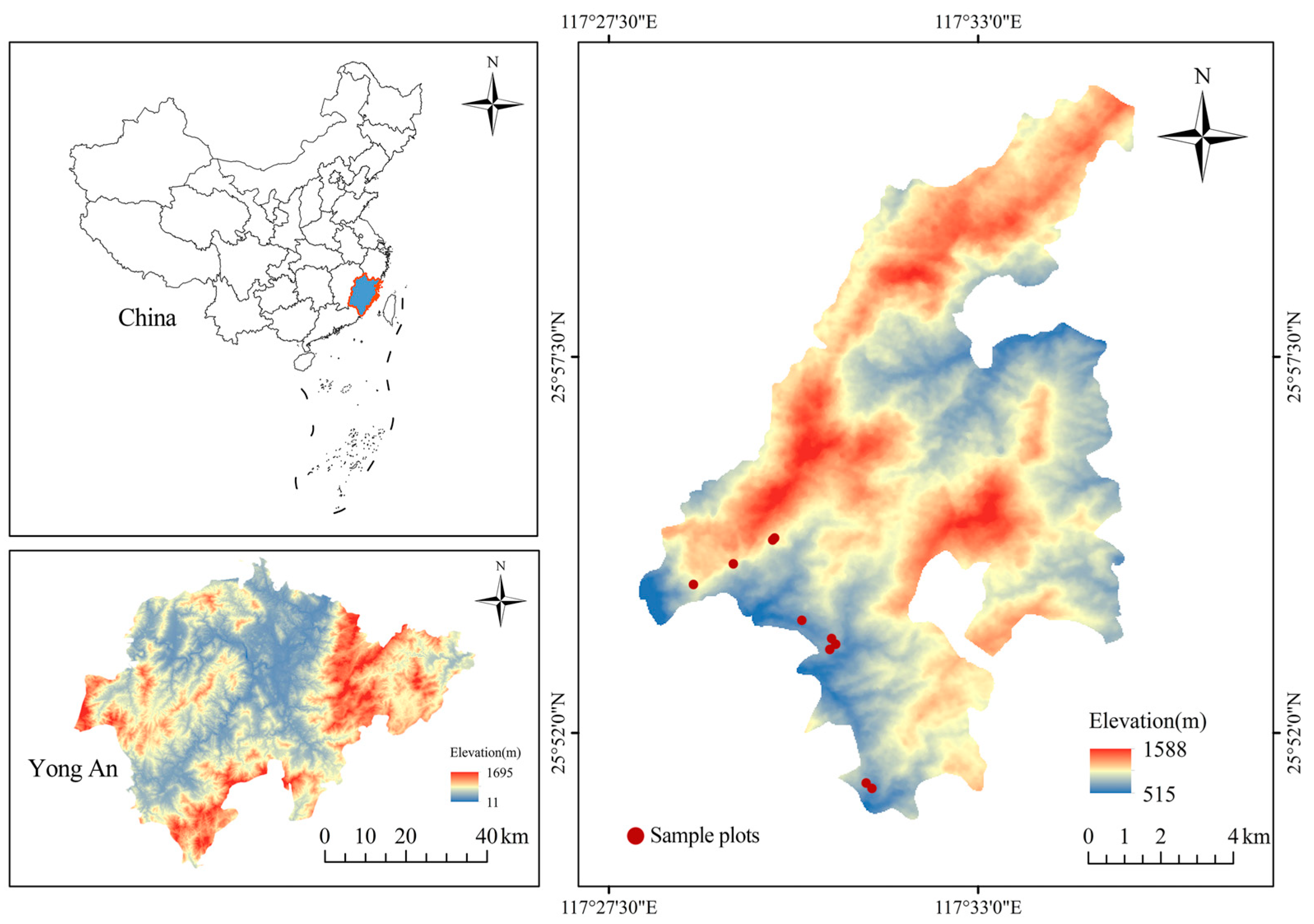Forests 16 00100 g001