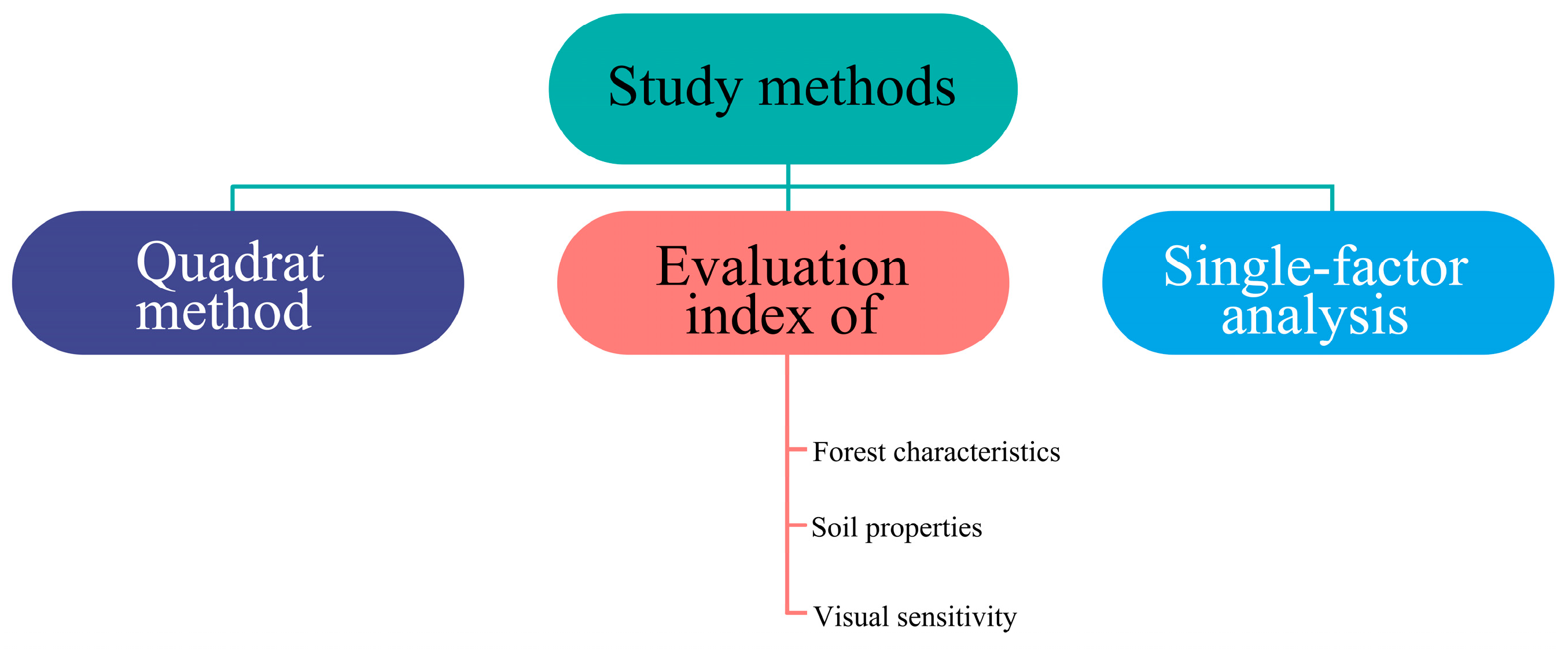 Forests 16 00102 g002