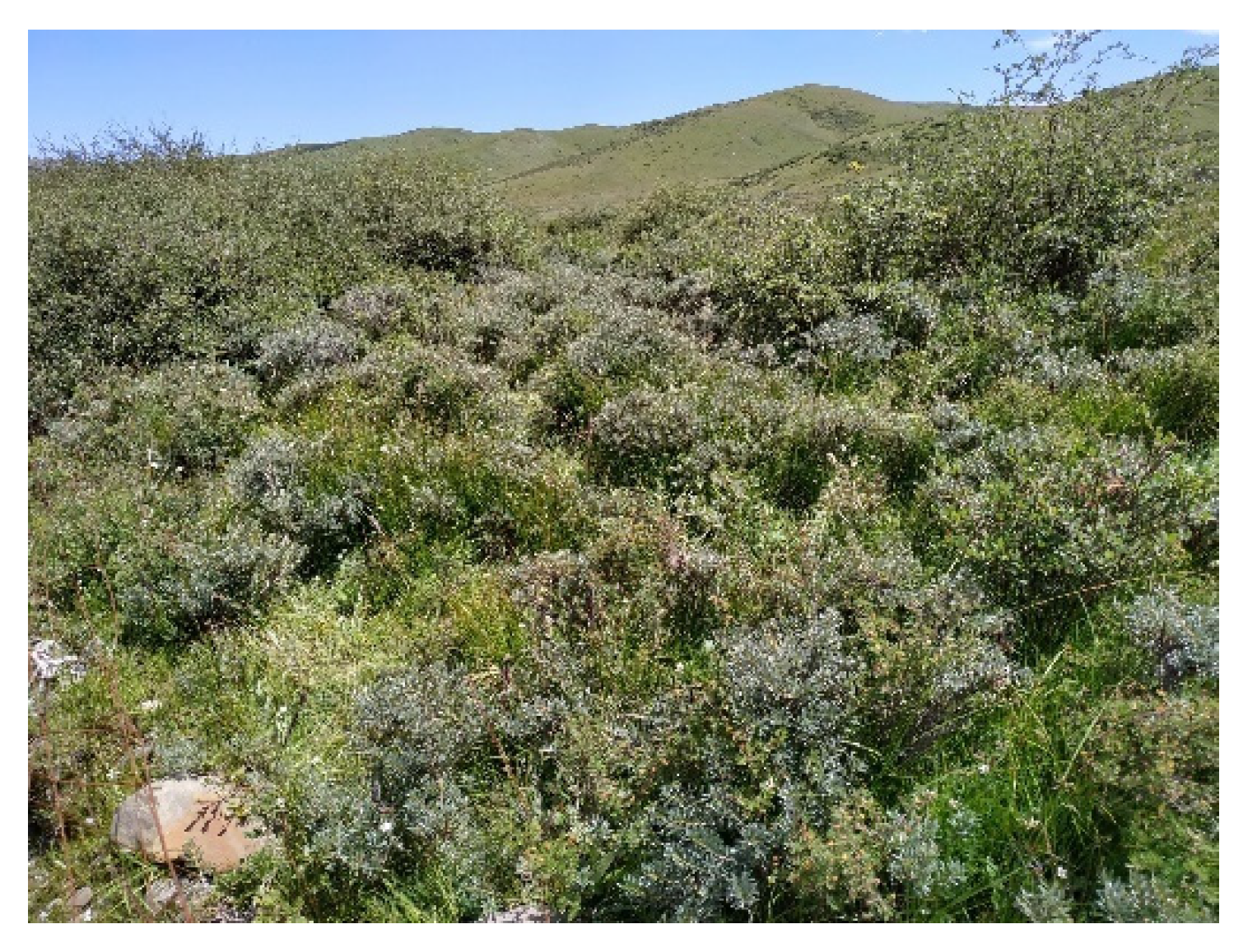 Forests 16 00107 g001