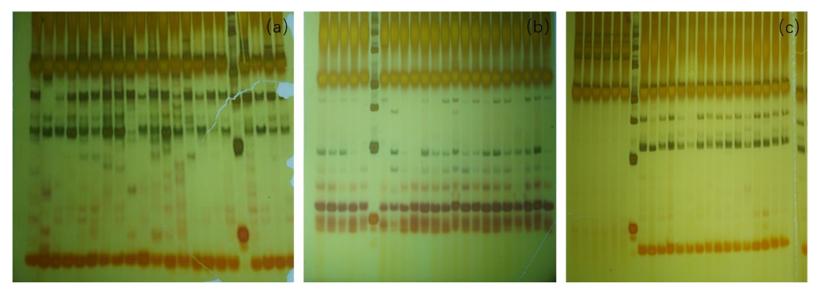 Forests 16 00107 g005