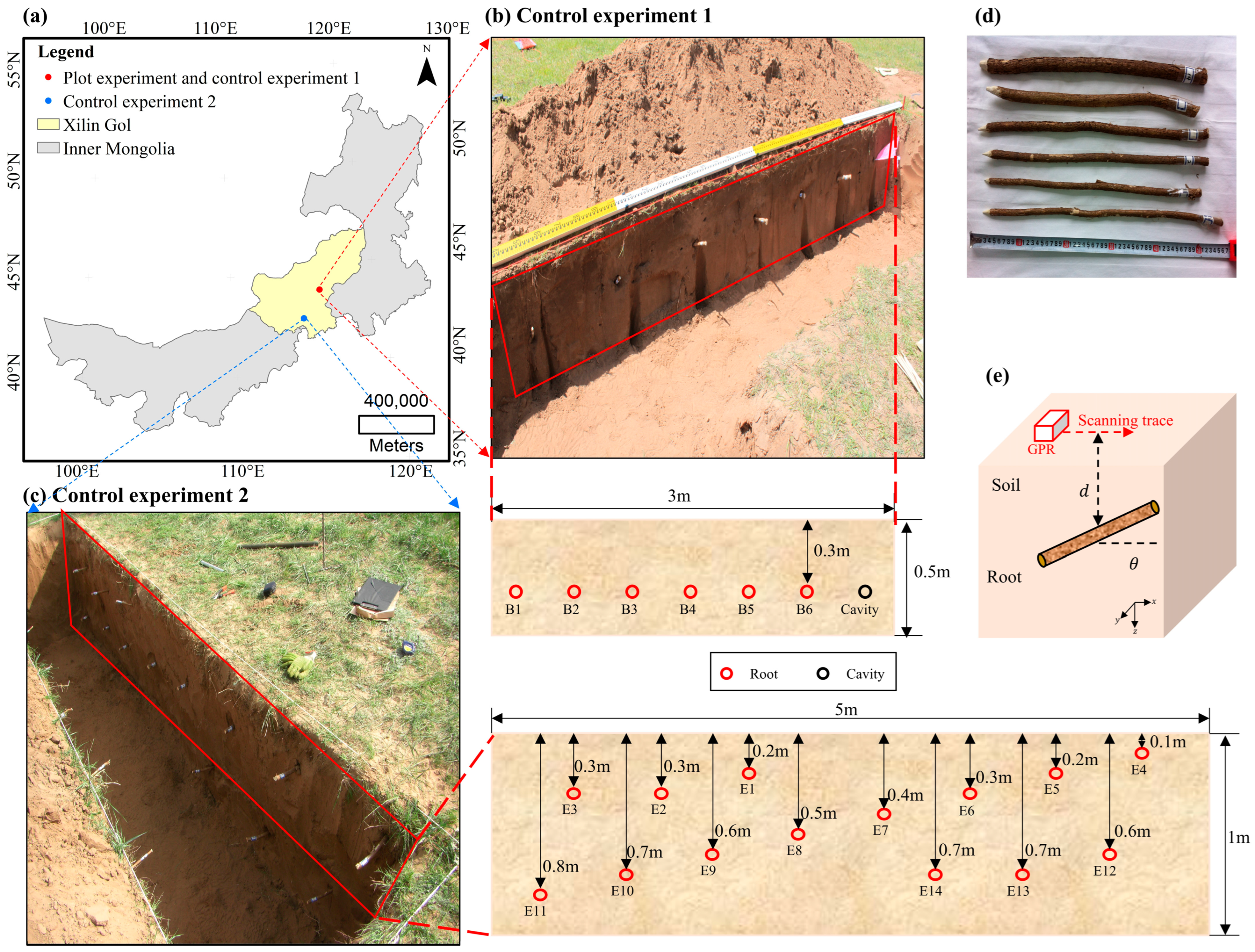 Forests 16 00110 g005