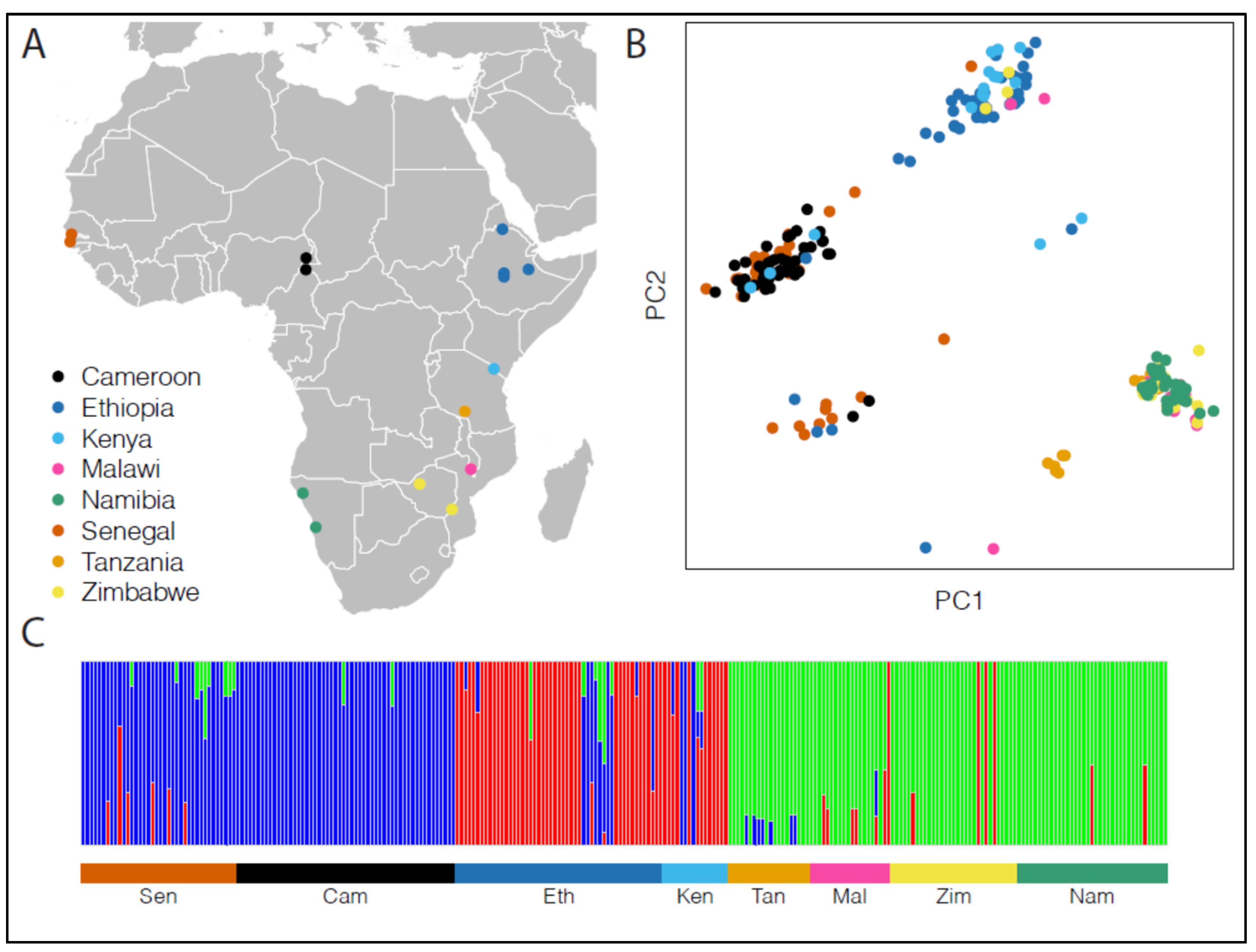 Forests 16 00113 g004