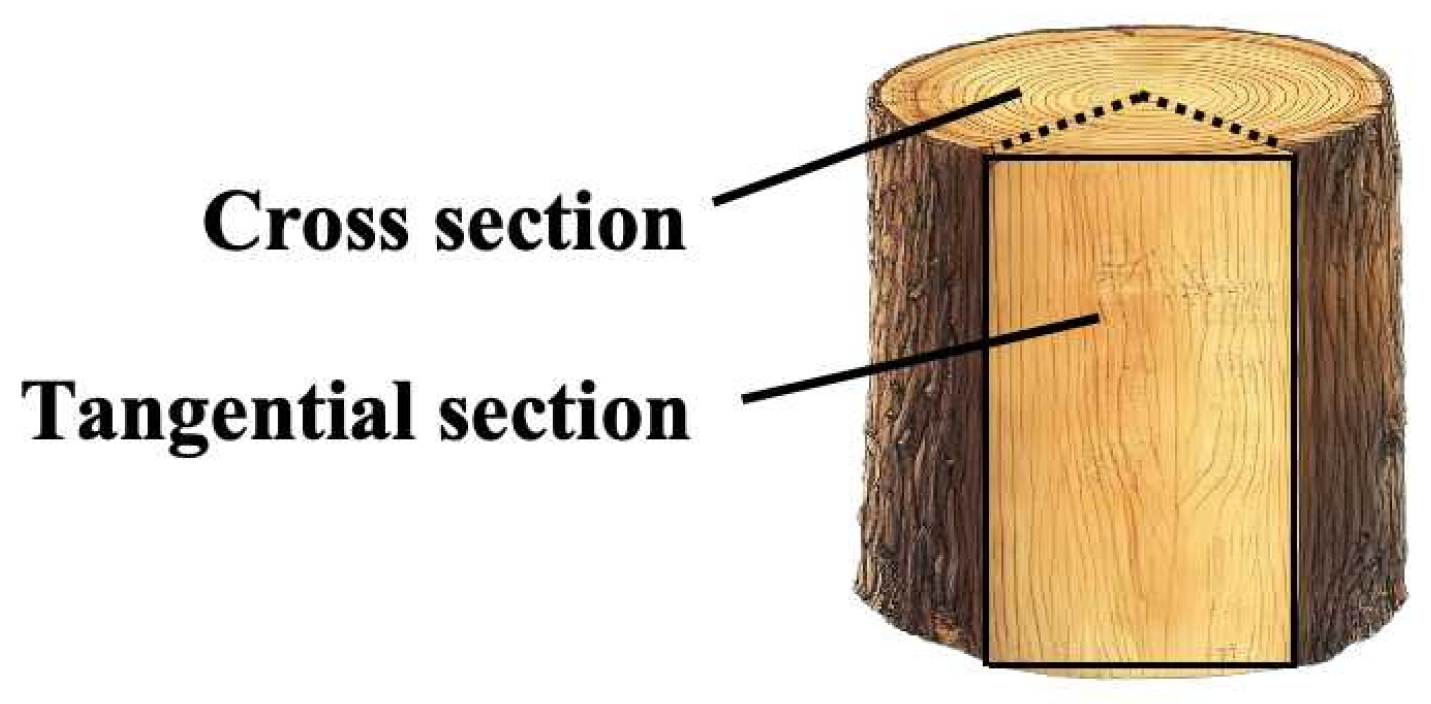 Forests 16 00118 g002