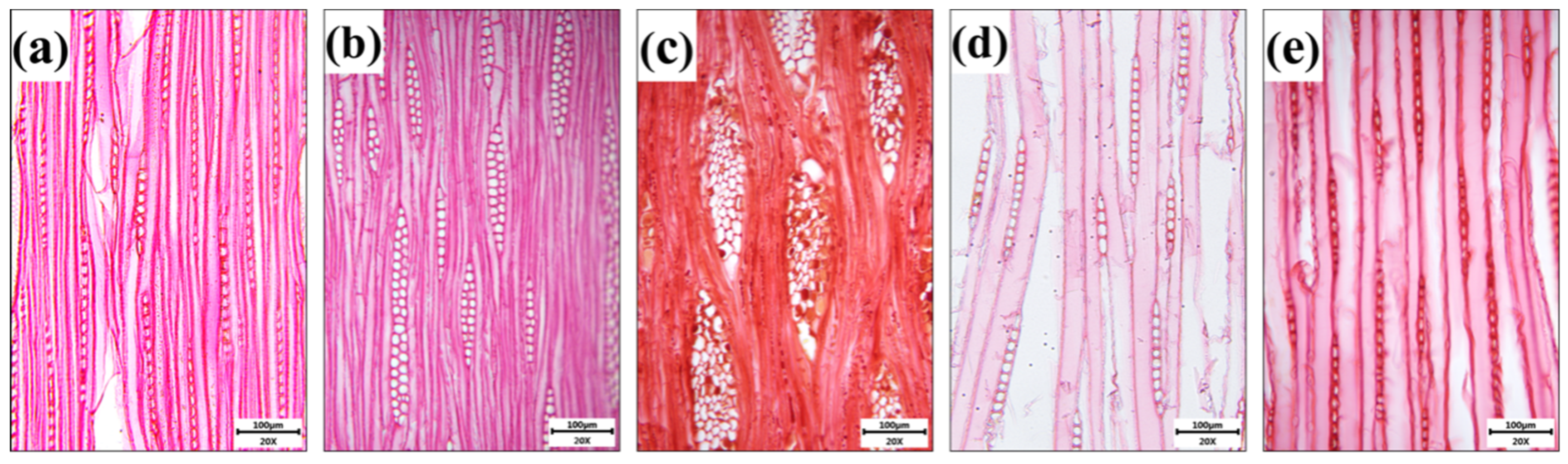 Forests 16 00118 g010