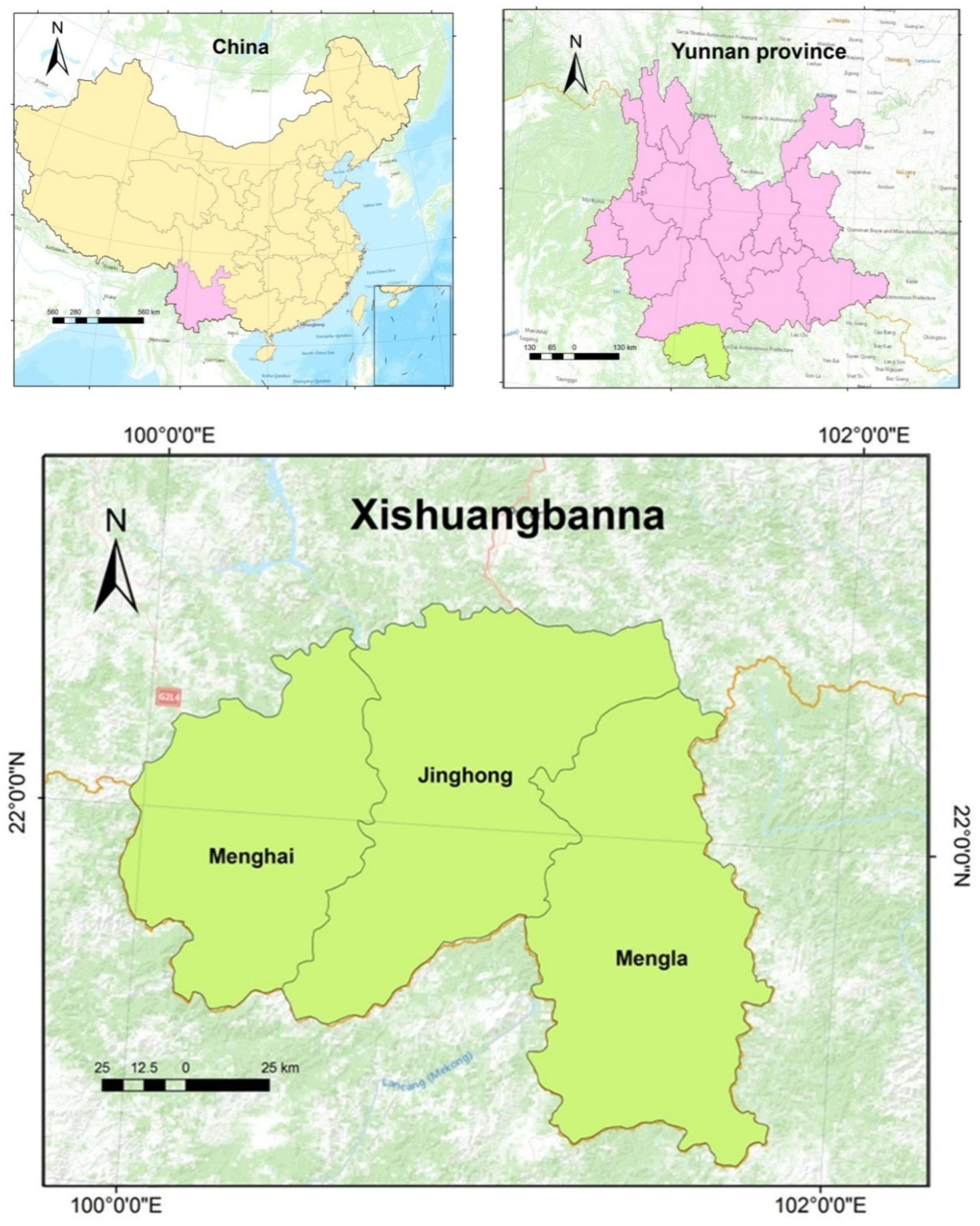 Forests 16 00120 g001