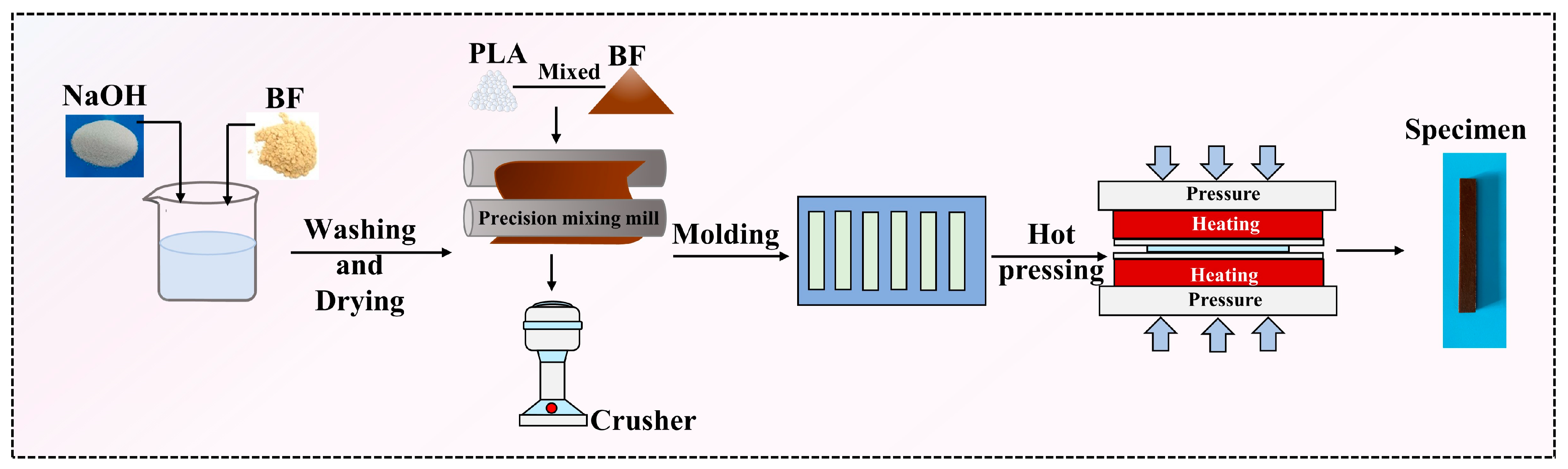 Forests 16 00123 g001