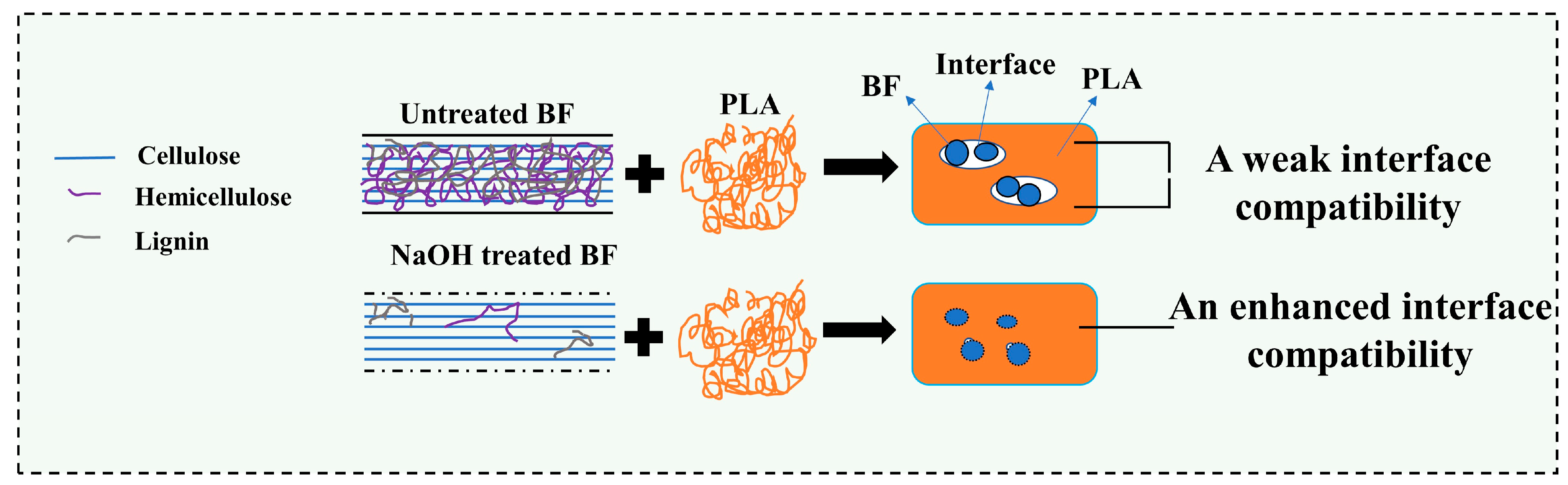 Forests 16 00123 g004
