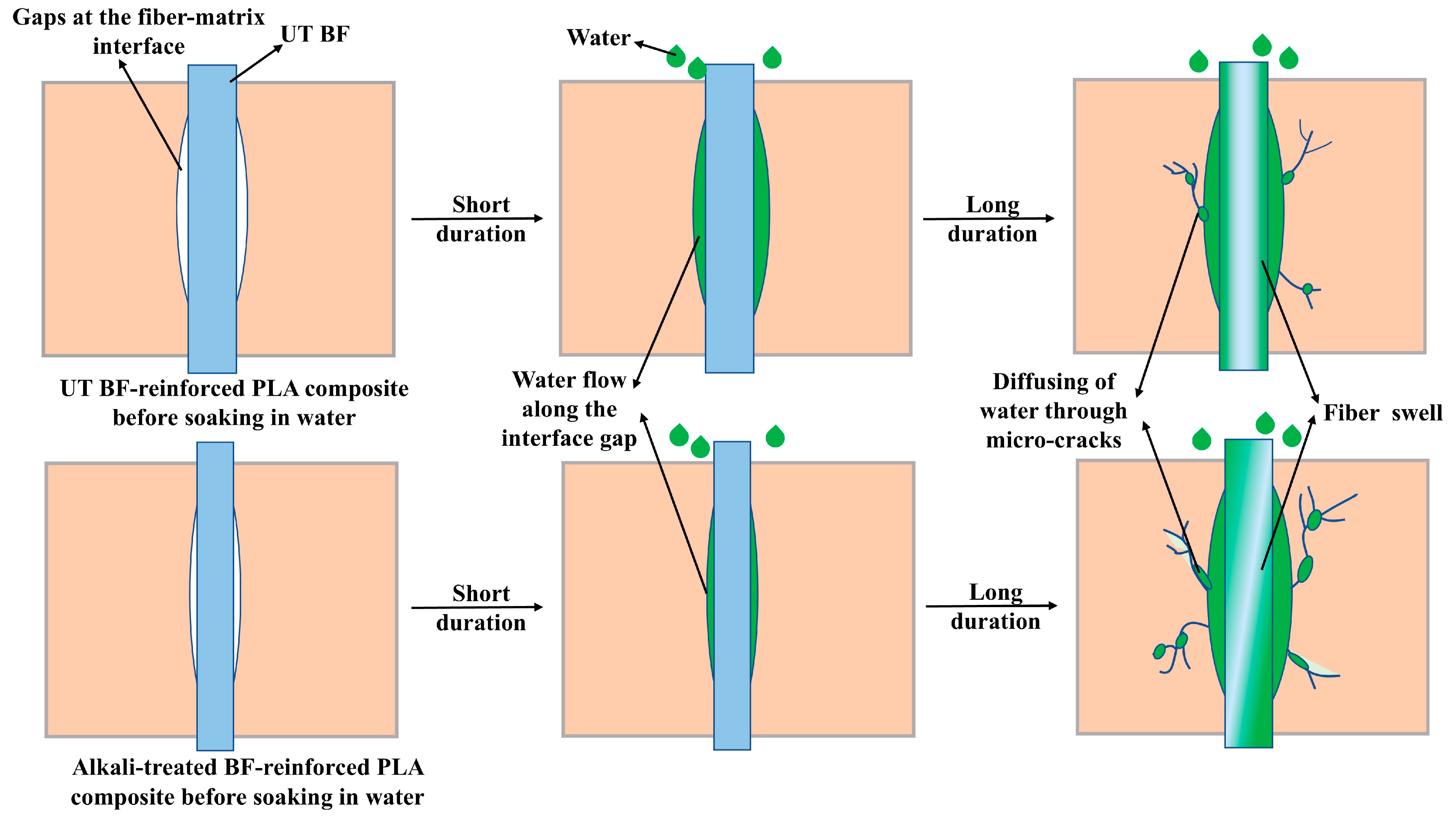 Forests 16 00123 g007