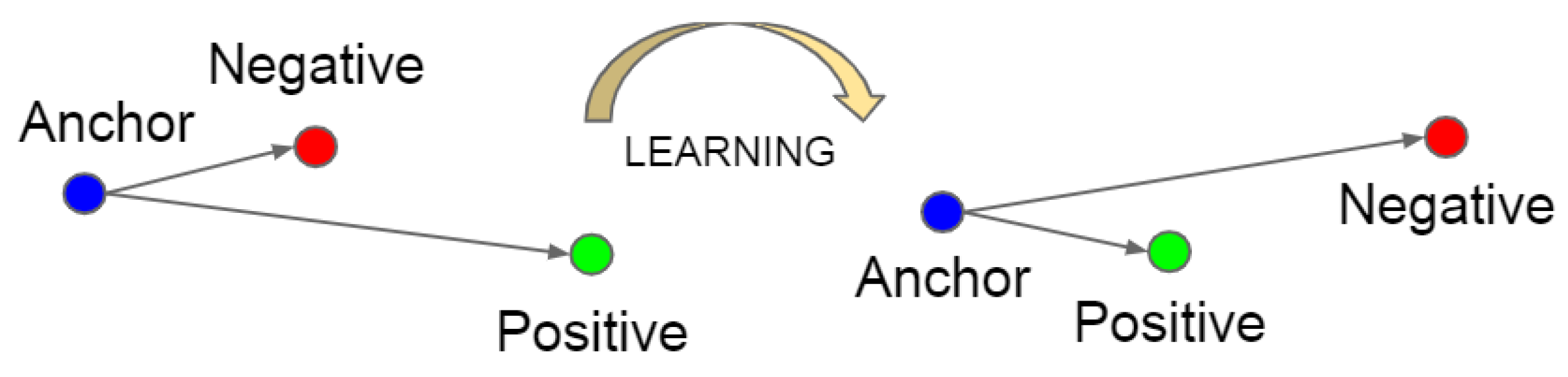 Forests 16 00124 g004