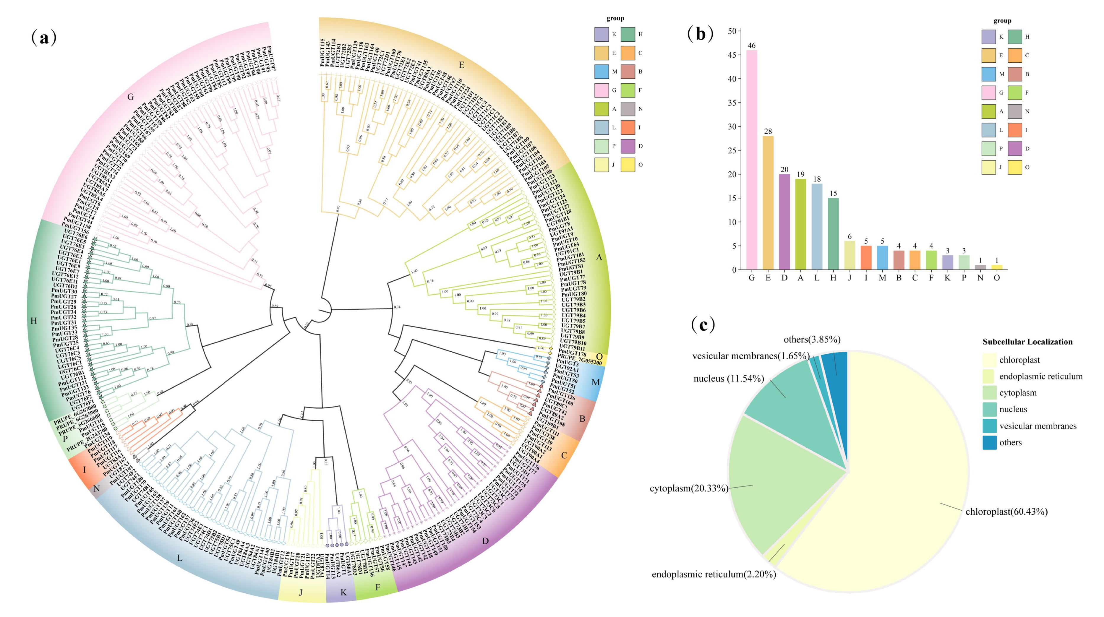 Forests 16 00131 g001