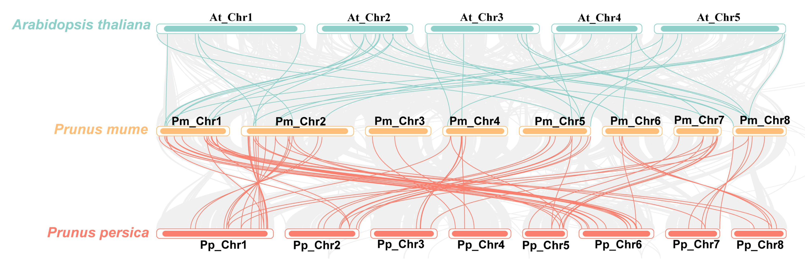 Forests 16 00131 g003