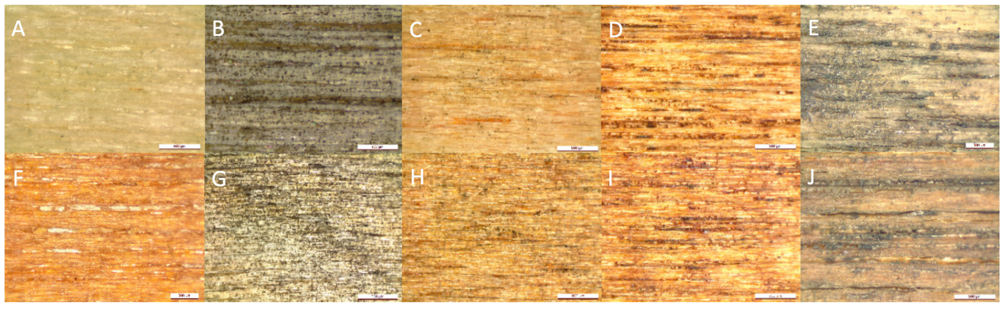 Forests 16 00132 g005