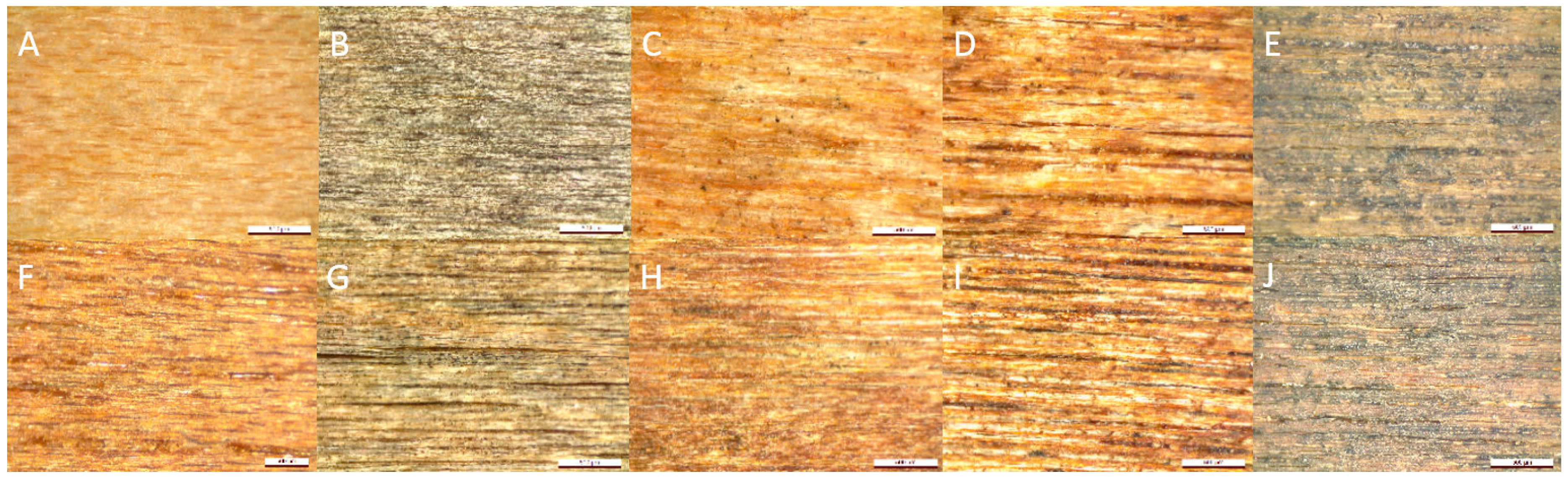 Forests 16 00132 g006