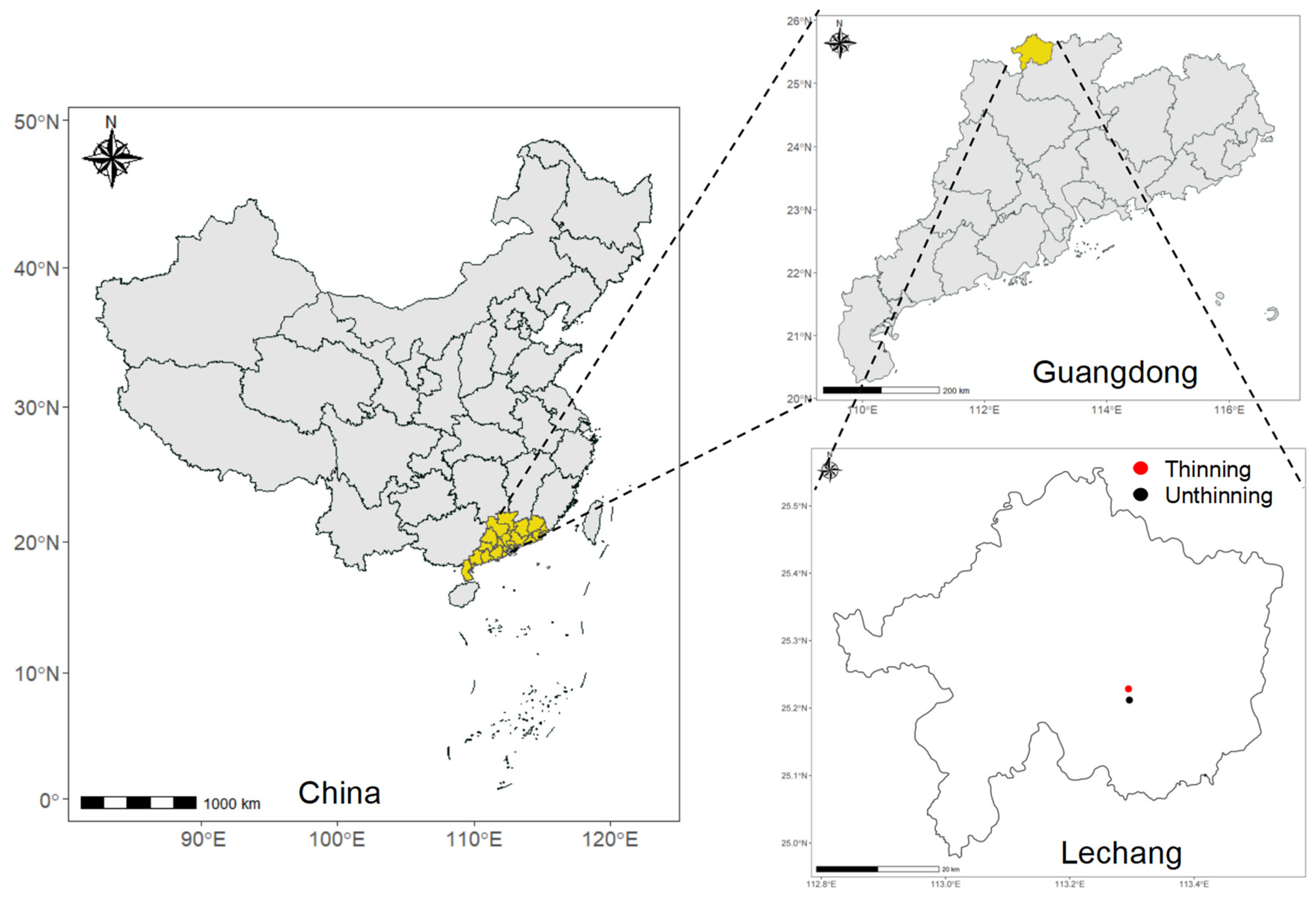 Forests 16 00134 g001