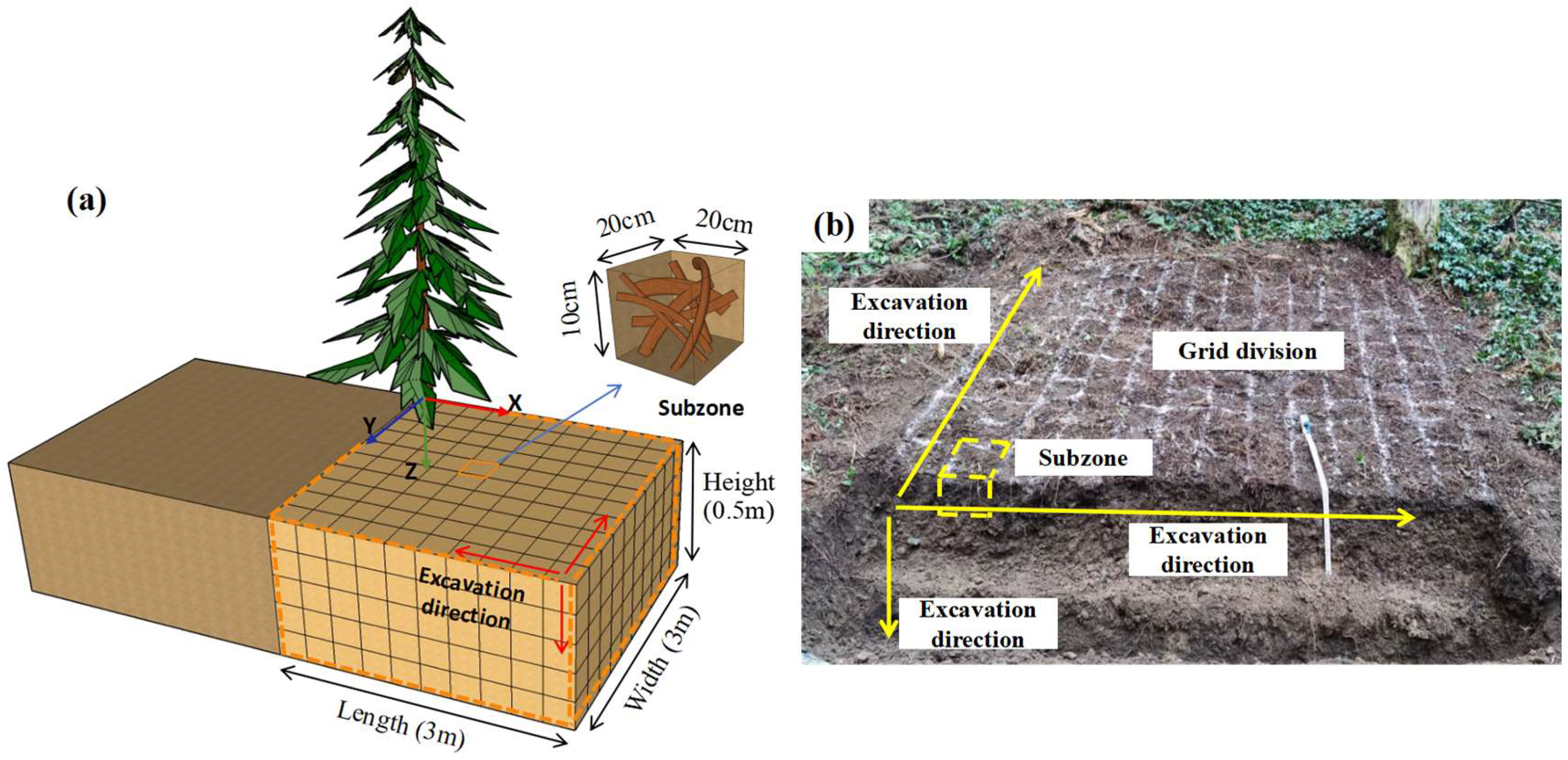 Forests 16 00135 g002