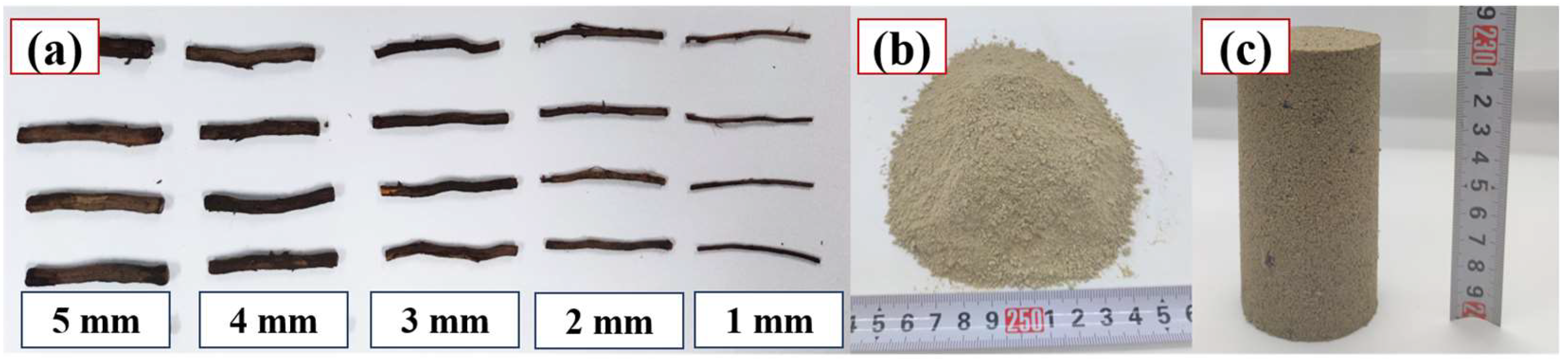 Forests 16 00135 g008