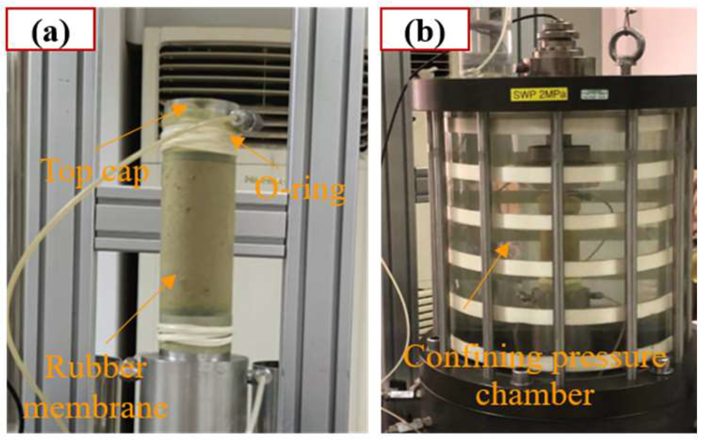 Forests 16 00135 g010
