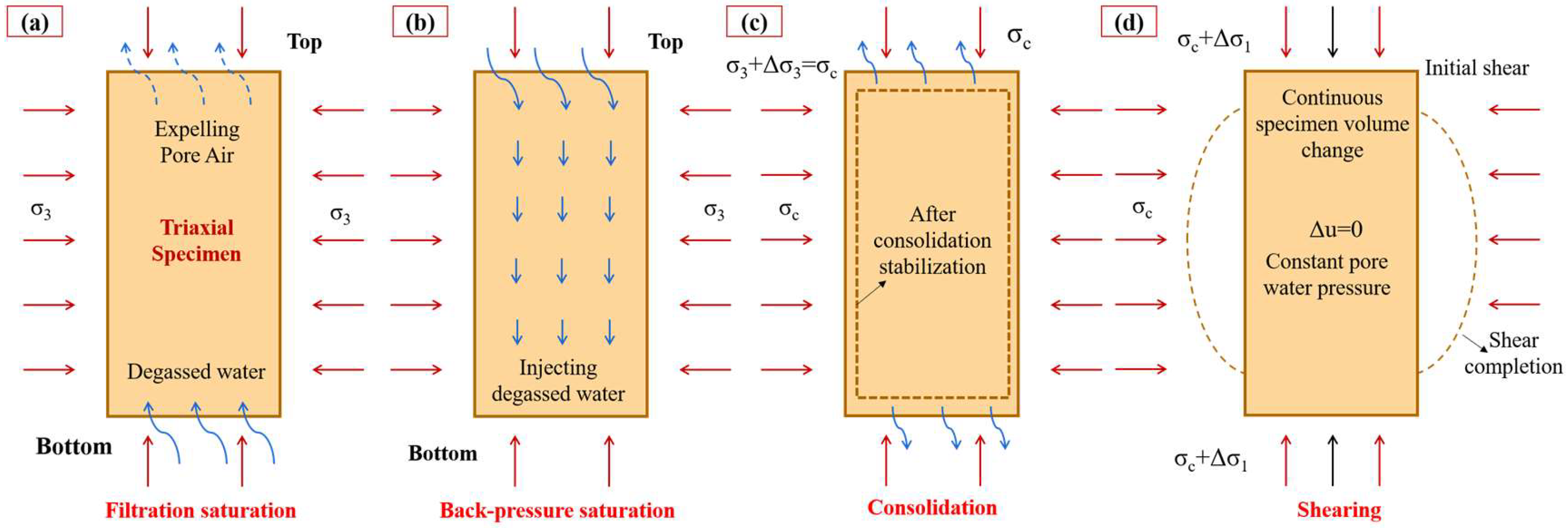 Forests 16 00135 g011