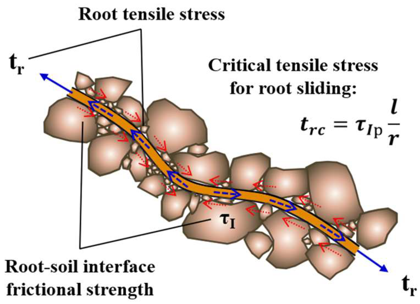 Forests 16 00135 g017