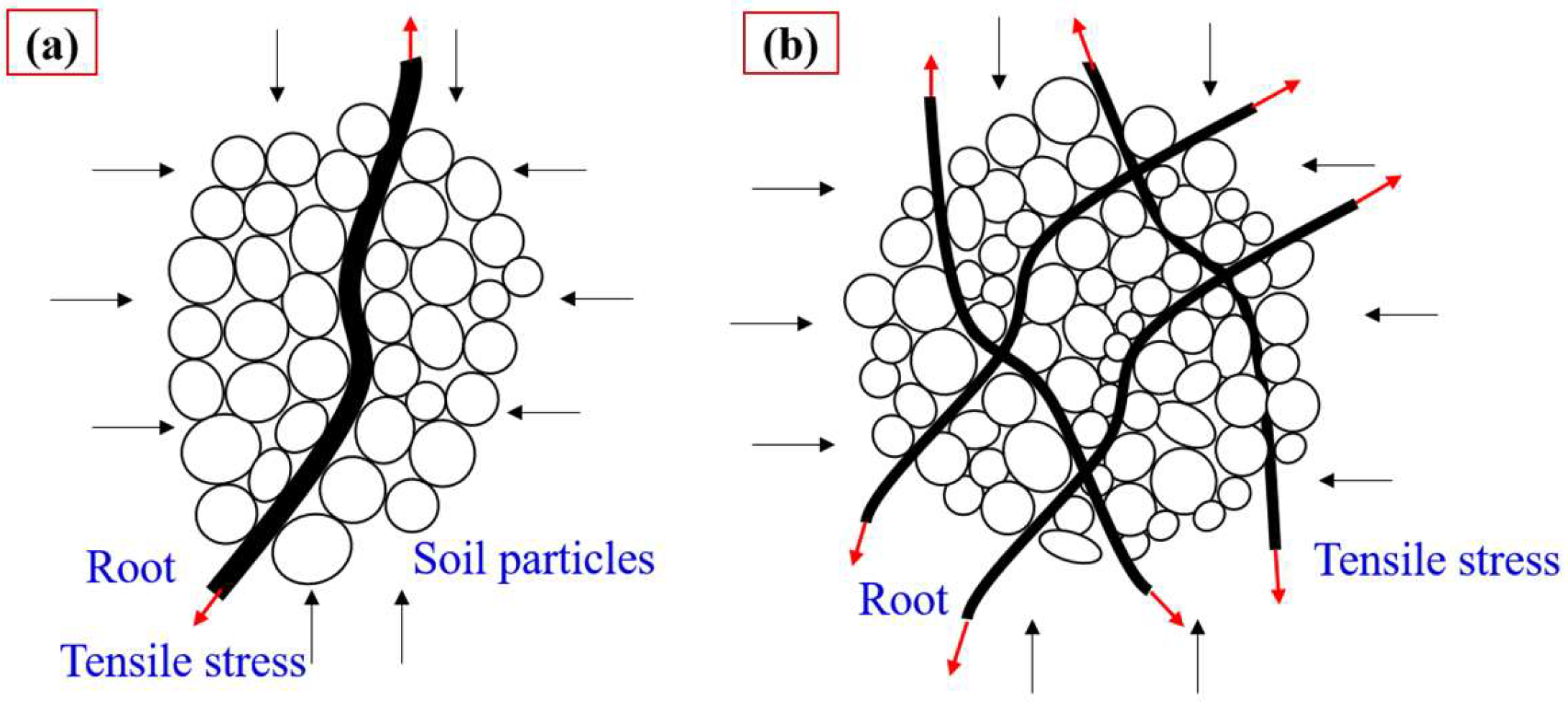 Forests 16 00135 g019