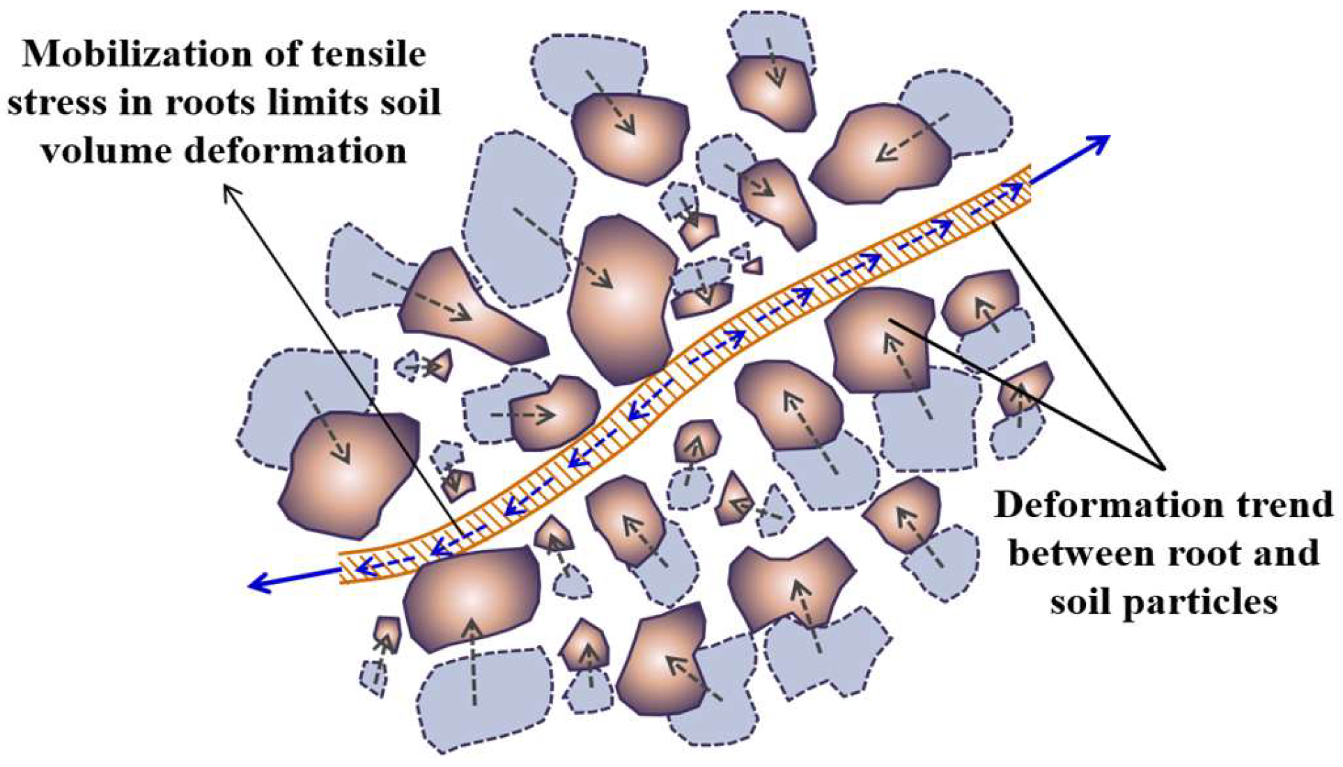 Forests 16 00135 g020