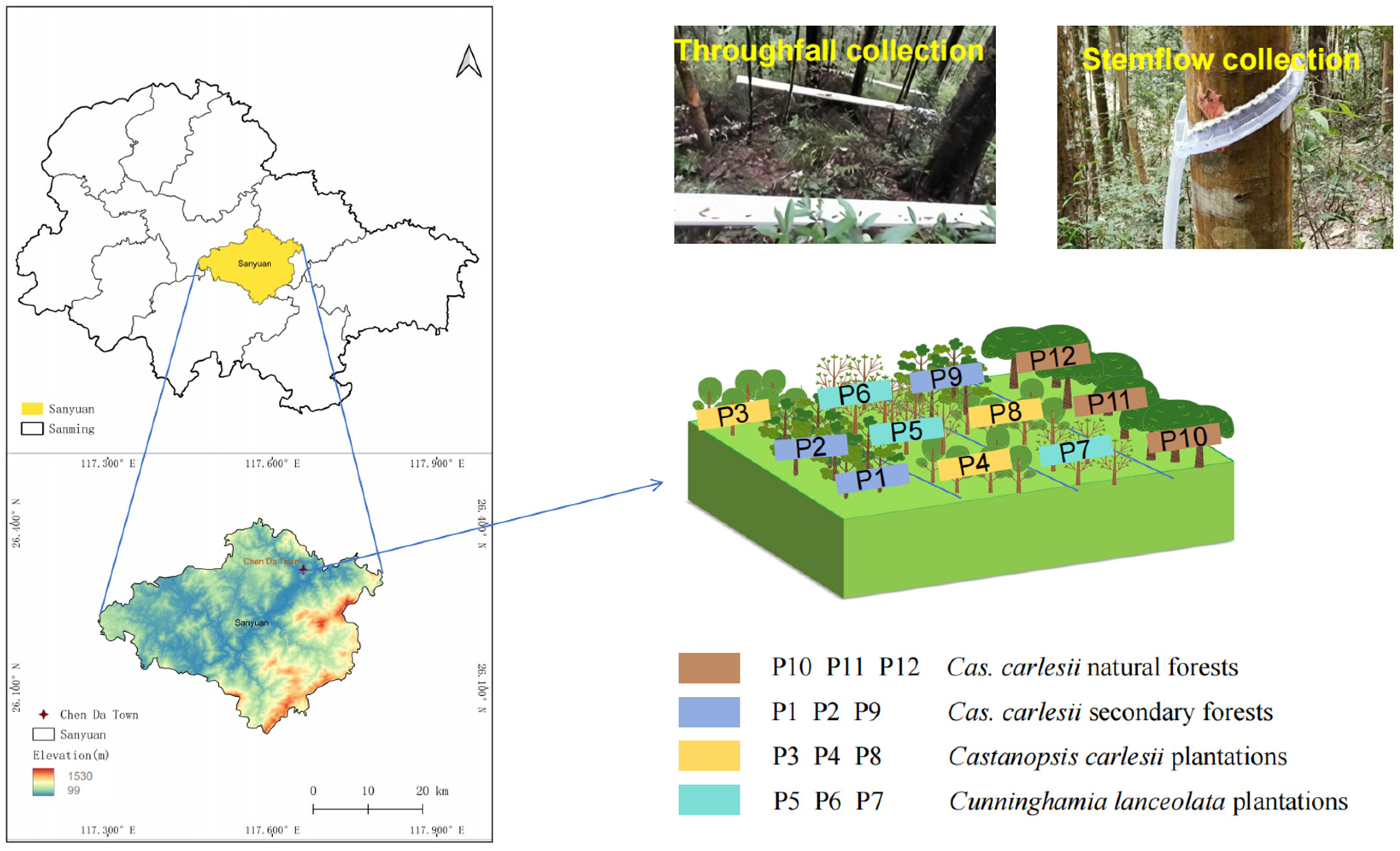 Forests 16 00152 g001