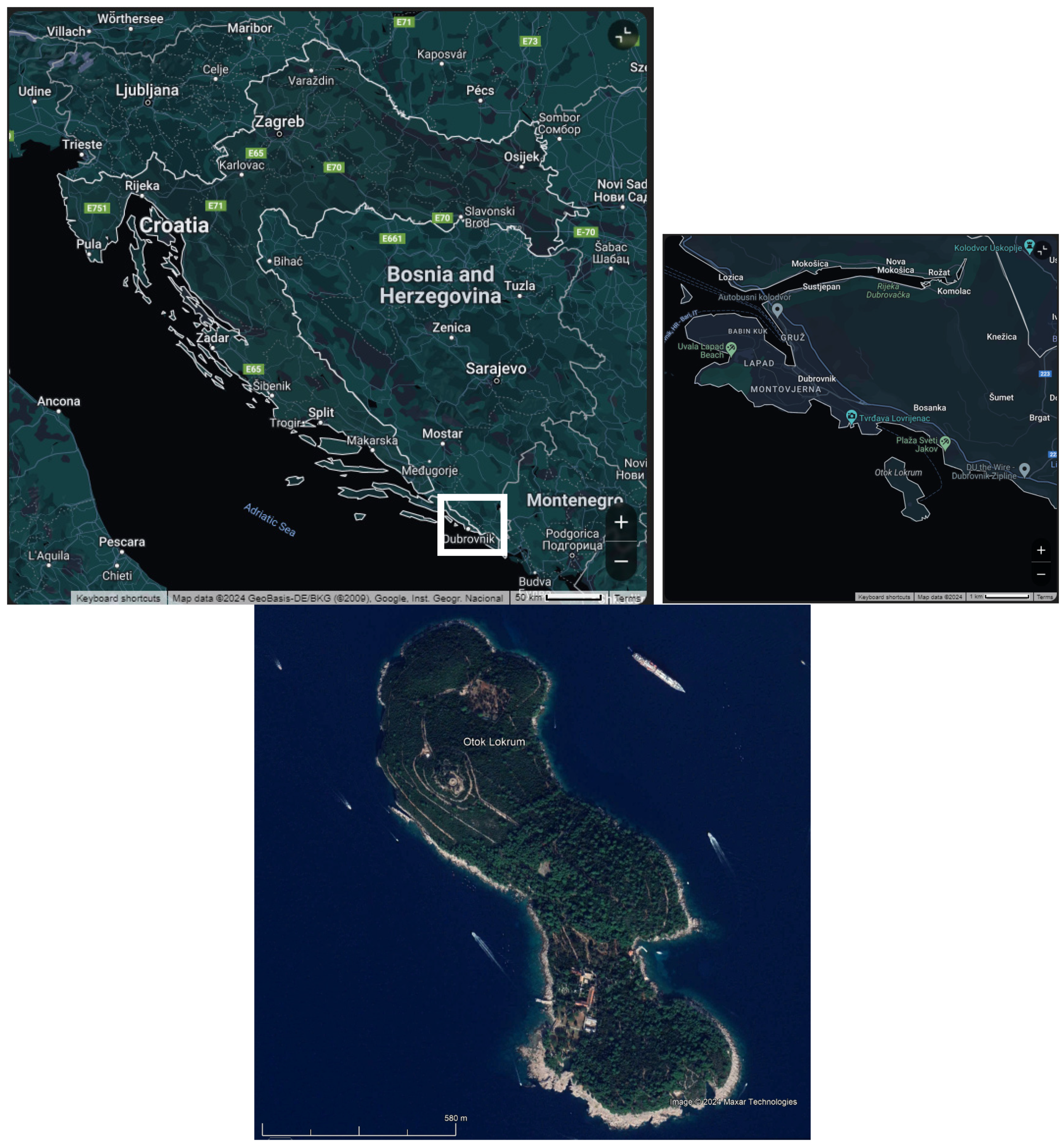 Forests 16 00157 g001