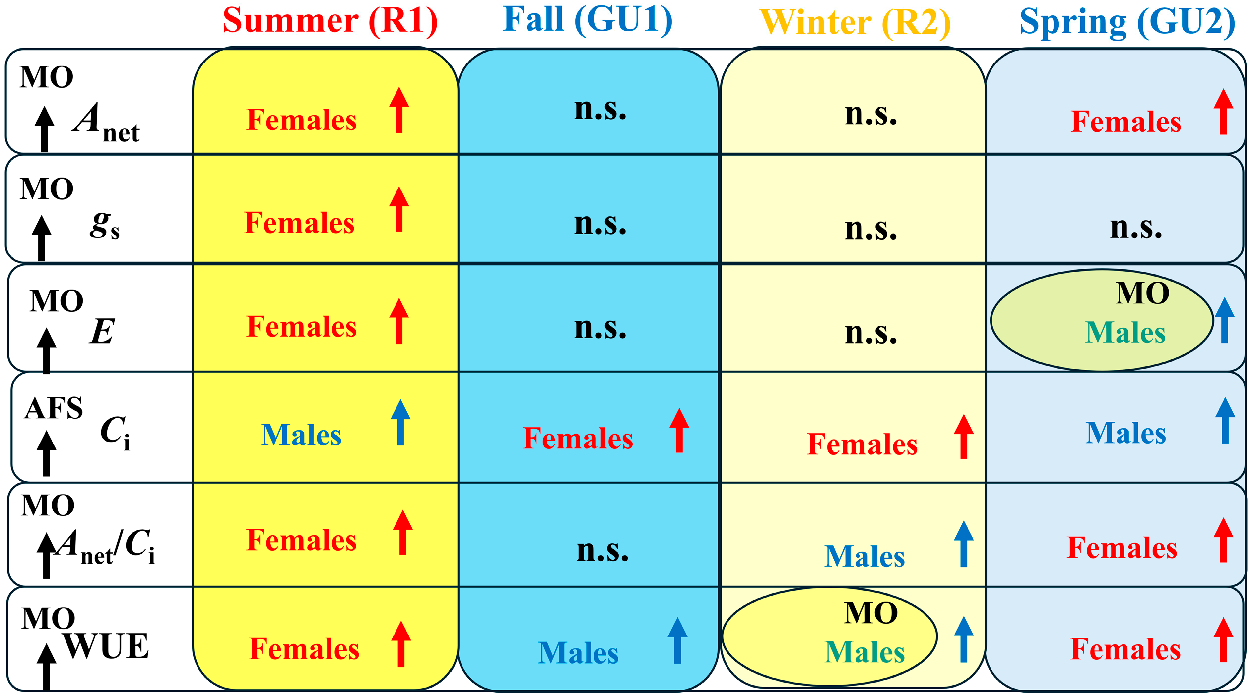 Forests 16 00161 g007