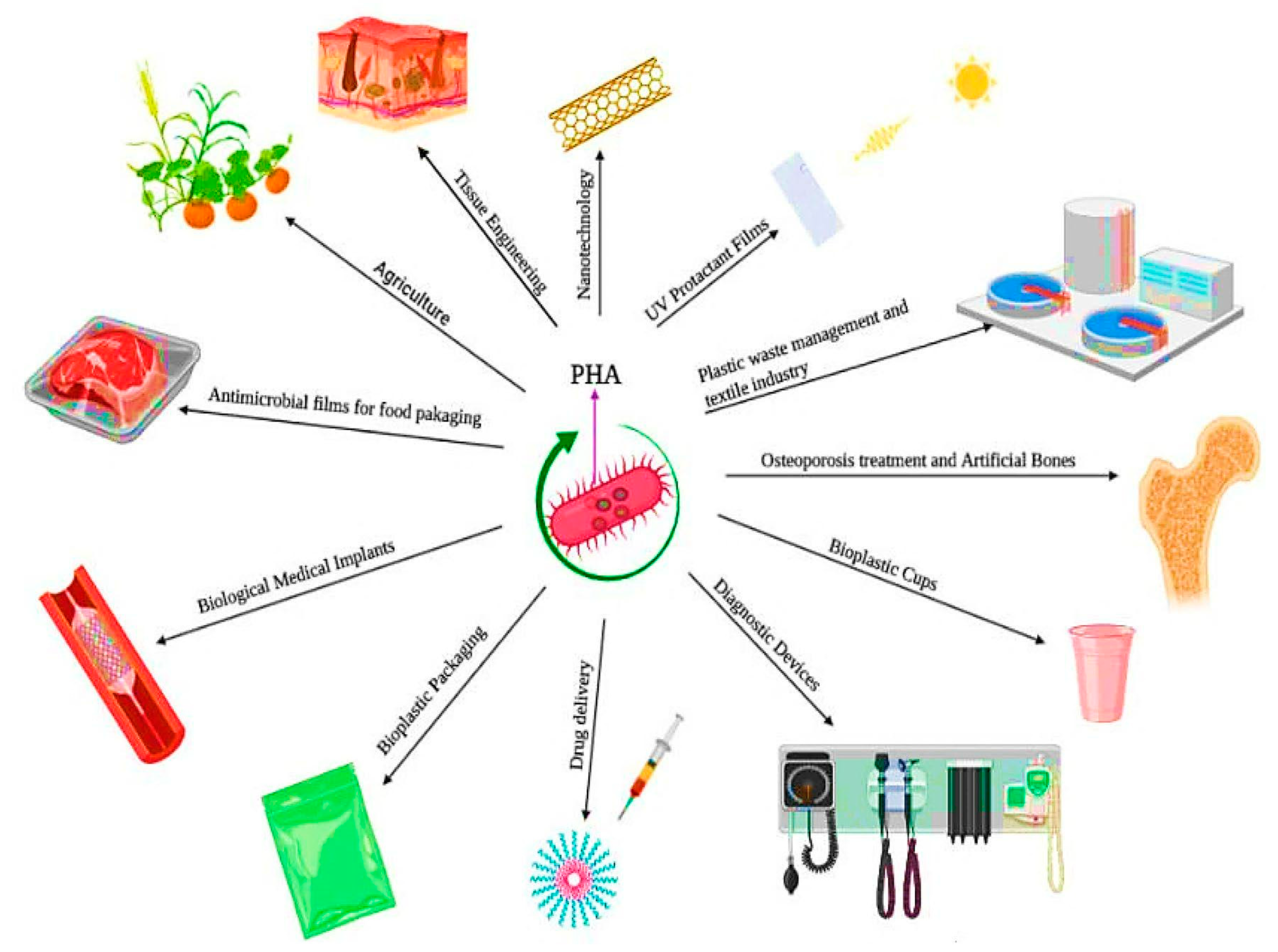 Forests 16 00163 g002 Forests 16 00163 g002